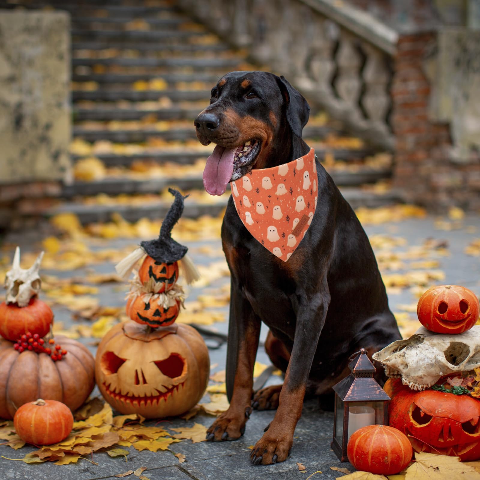 Ptdecor Halloween Dog Bandana, Ghost Pumpkin Design Reversible Holiday Dog Scarf, Triangle Halloween Bandanas For Large X-Large