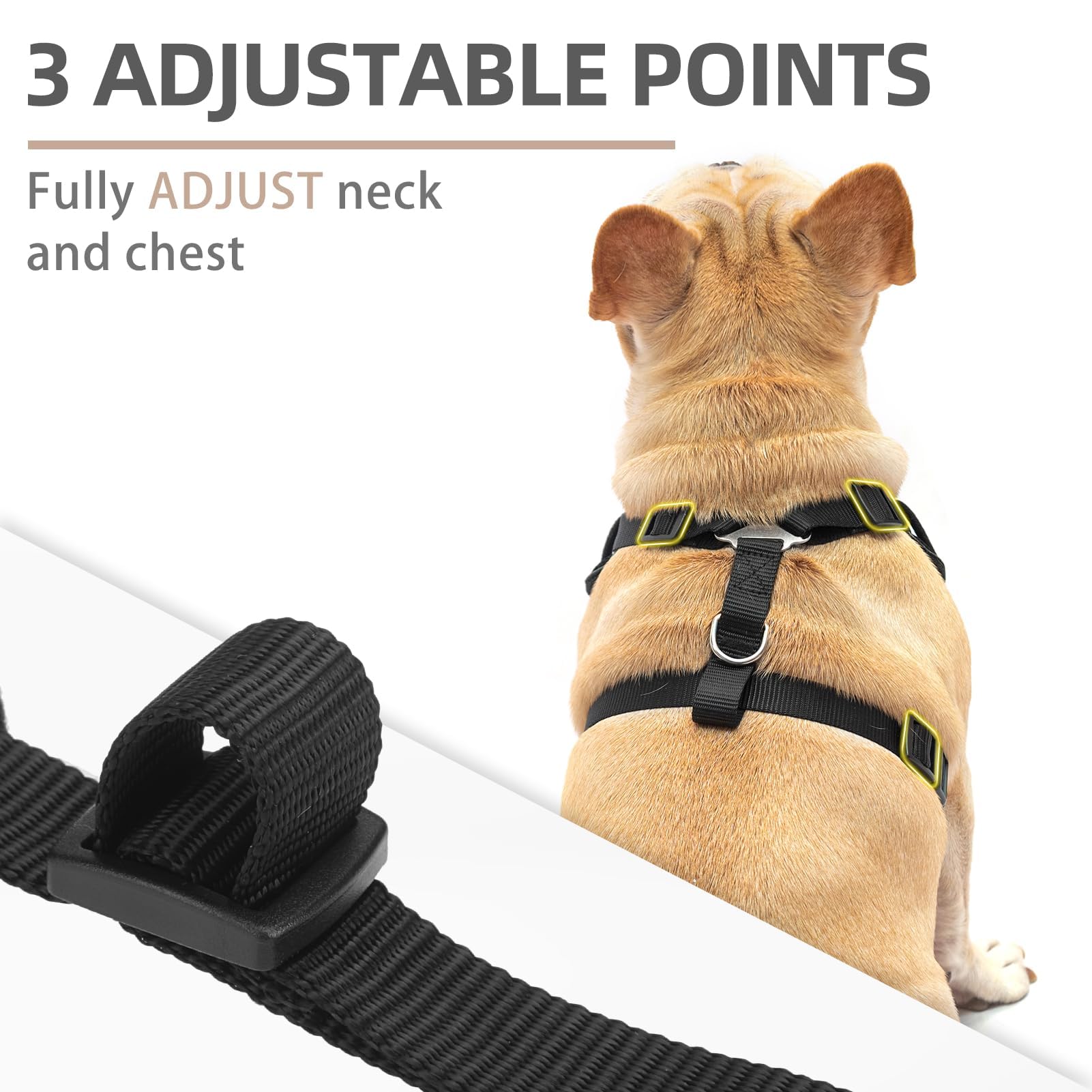 Pupteck Dog Harness And Leash Set For Small Medium Dogs No Pull, Soft Mesh Adjustable Puppy Cat Harness Reflective At Night, Bla