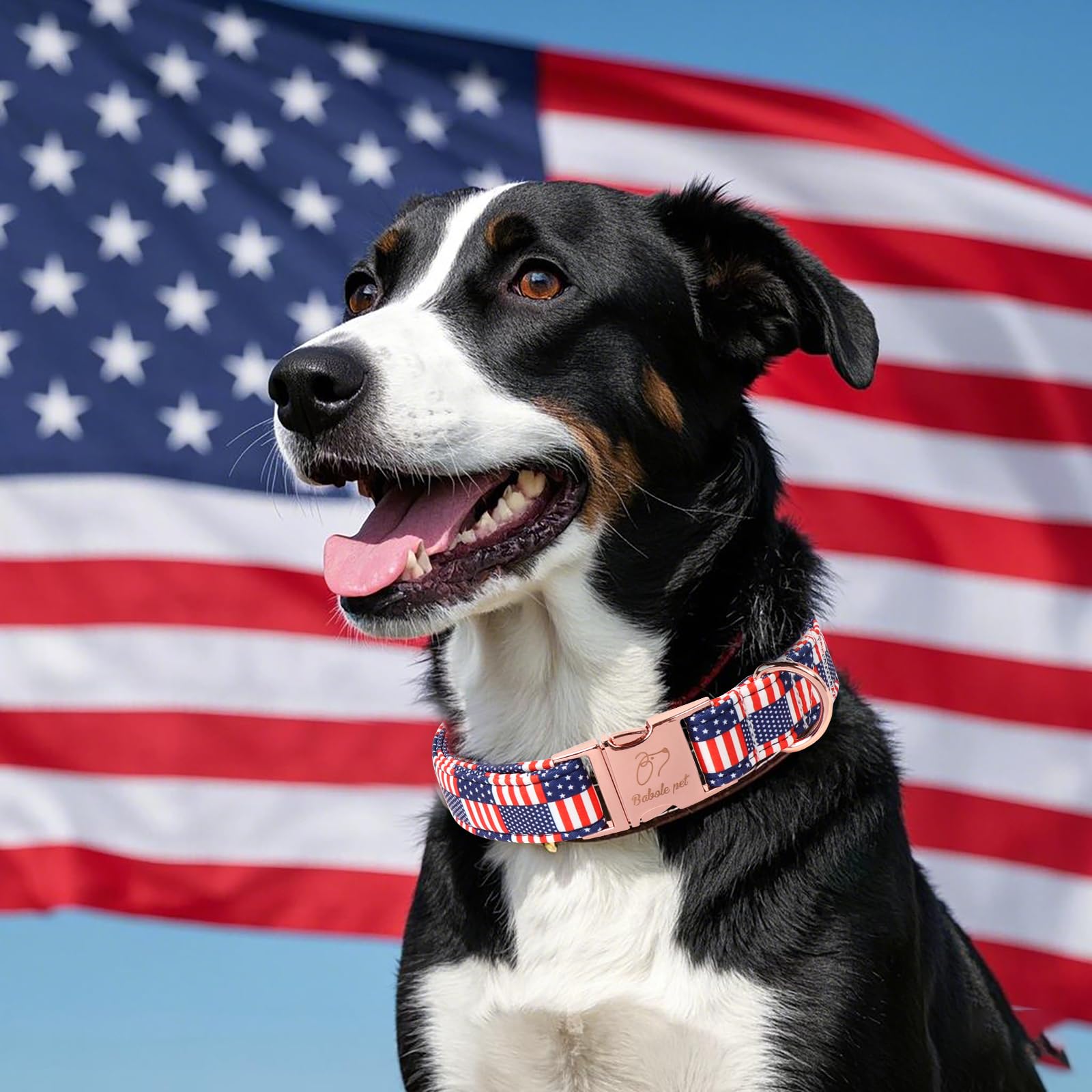 Babole Pet 4Th Of July Dog Collar - Us Flag Patriotic Dog Collars For Medium Dogs, Adjustable Independence Day Stars & Stripes A