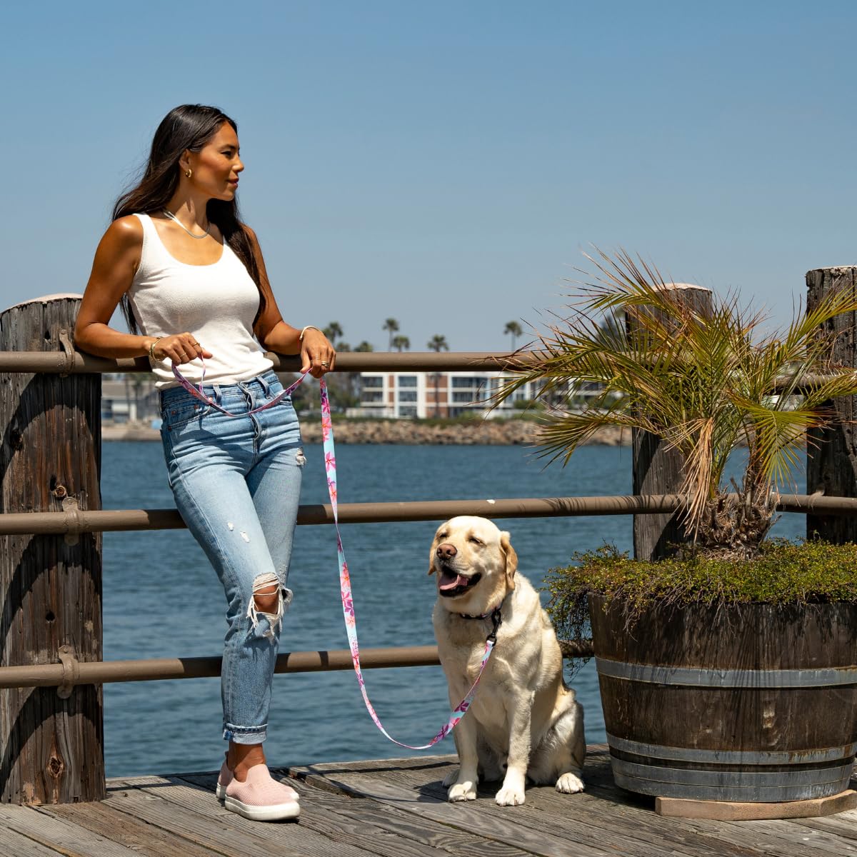 Wolfgang Heavy Duty Martingale Dog Collar With Quick Release Nylon Buckle For Walking & Training, Digifloral Print, Extra Large