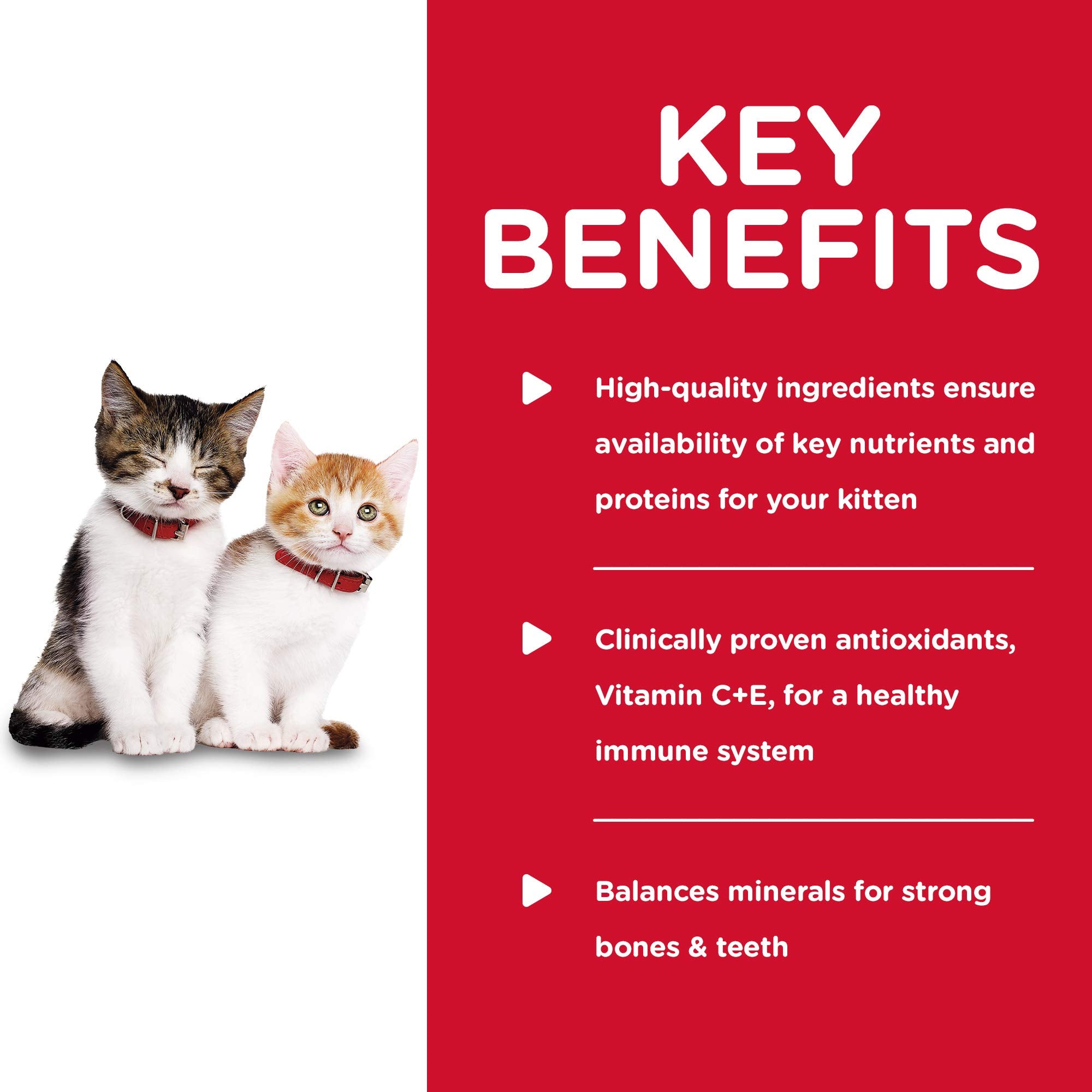 Hills Science Diet Kitten, Kitten Premium Nutrition, Wet Cat Food, Turkey Minced, 5.5 oz Can, Case of 24
