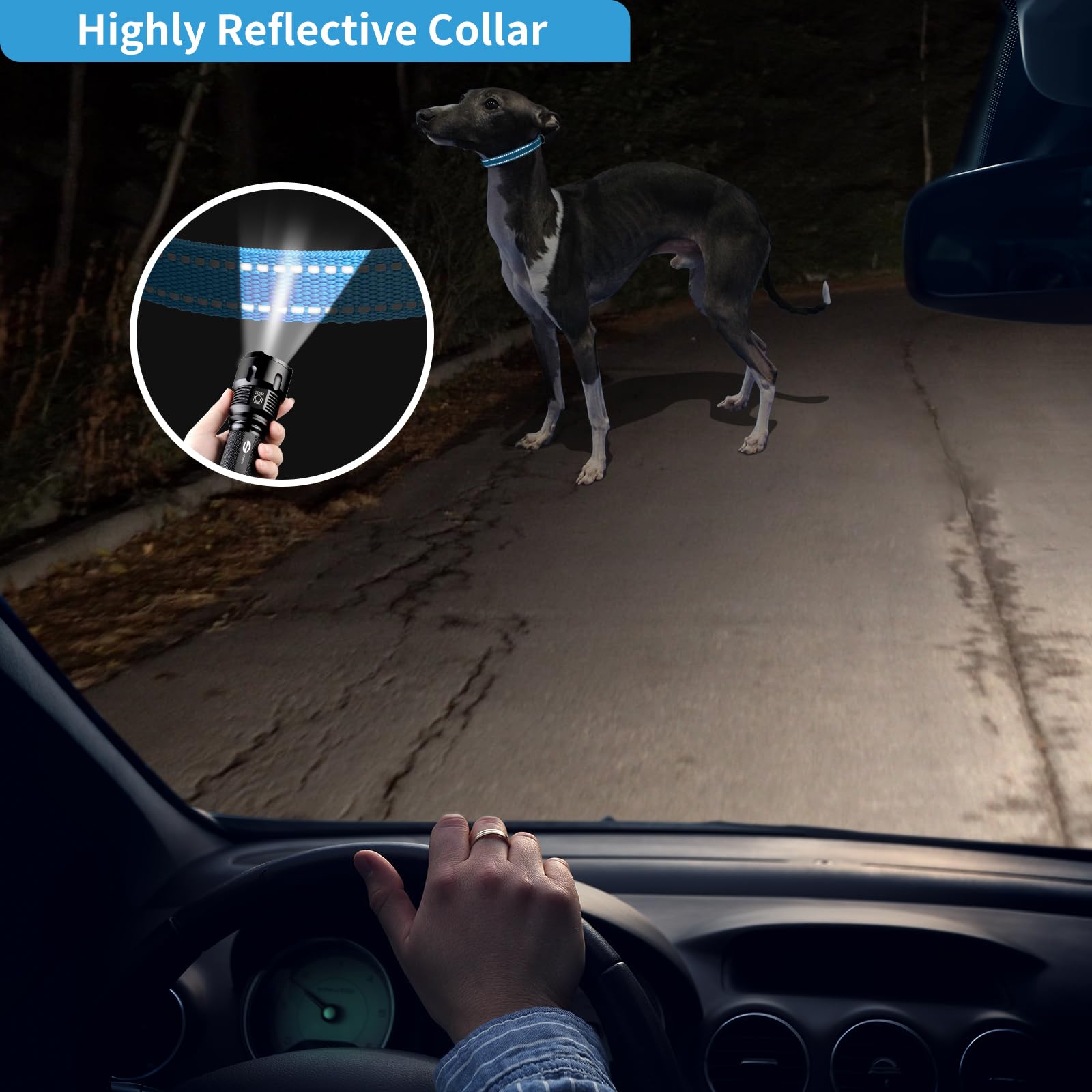 PaiPaitek E Collar Replacement Strap - Compatible with Almost All Makes and Models of Shock Training Collars and Bark Collars -