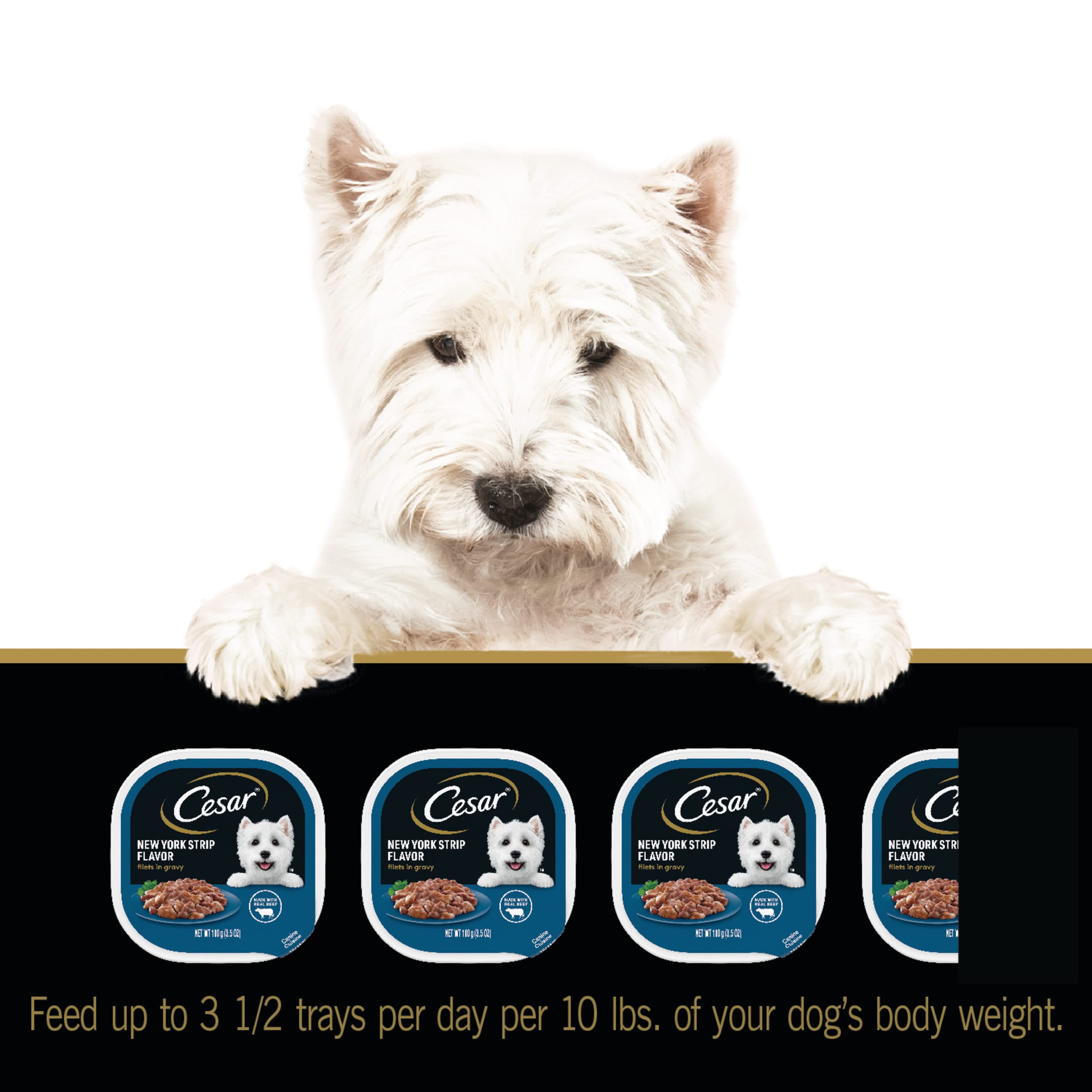 Cesar Filets in Gravy Adult Wet Dog Food, New York Strip Flavor, 3.5 oz. (24 Count, Pack of 1)