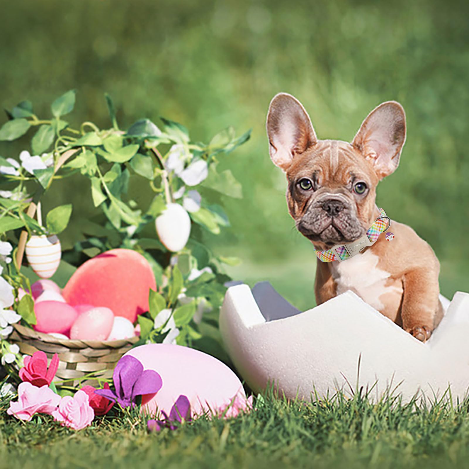 Lionet Paws Easter Dog Collar, Comfortable Adjustable Colorful Plaid Collar With Purple Rabbit For Small Male Female Dogs Collar