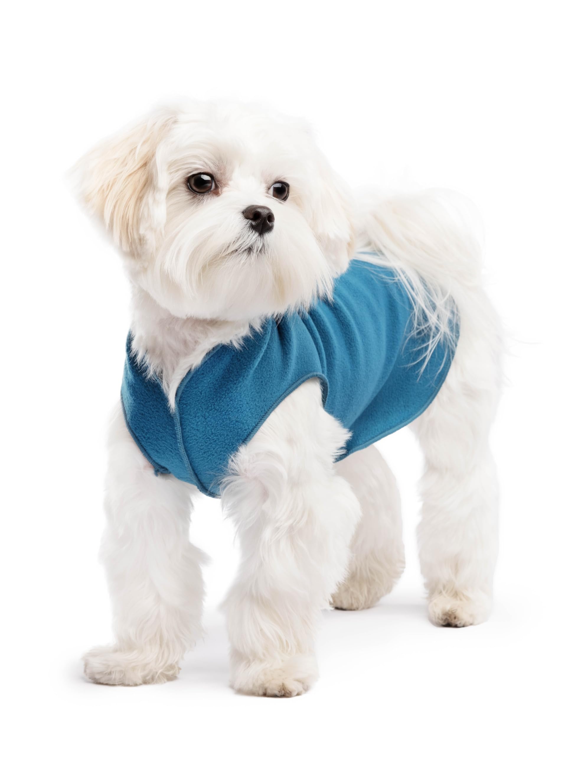 Gold Paw Stretch Fleece Dog Coat, Stretchy Pet Sweater, Machine Washable Pullover For Winter And Fall, Marine Blue, 8