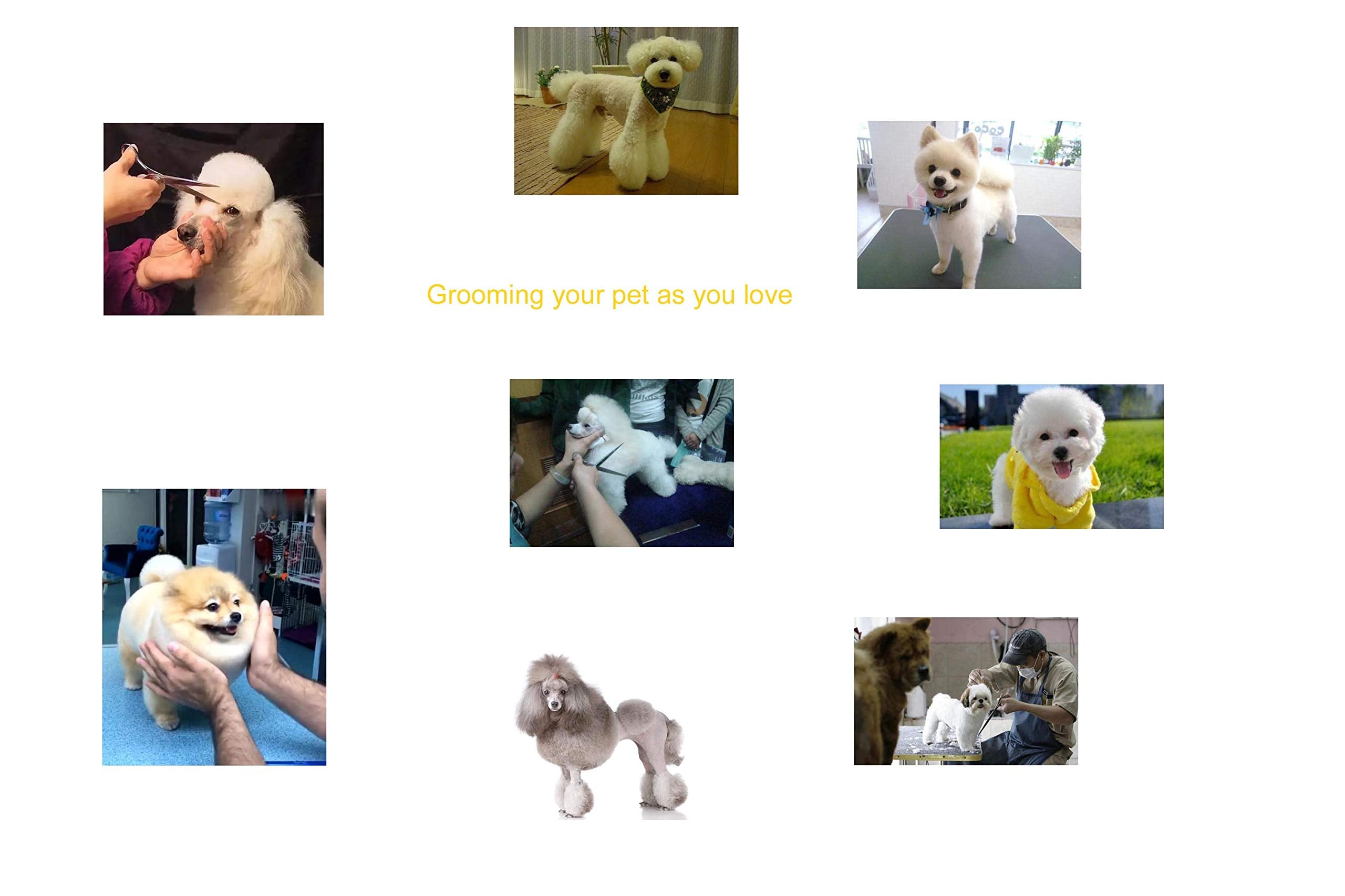 Professional Dog Shear Scissor Straight 8 Inch For Dogs Grooming Stainless Steel Japanese Process (8.0' Straight Blue Diamond)