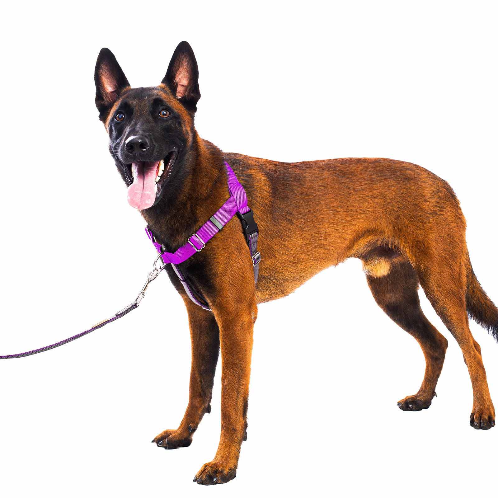 APDEXY Freedom No Pull Dog Harness for Large Dogs, Easy Walker, Anti Pull with Two Stainless D-Rings, Comfortable, Sewn-in Instr