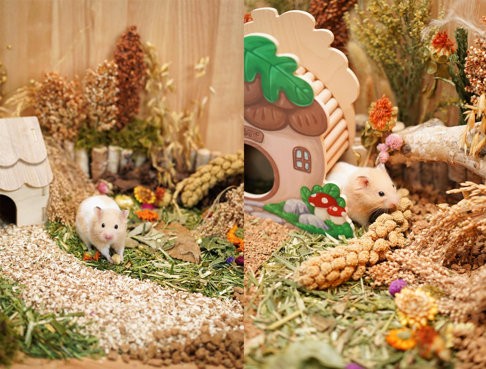 Jfwod Natural Hamster Bedding - Flowers, Herbs, Sprays, Treat Cereal Grain For Cage Habitat Enclosure Decor - Hamster Chews For