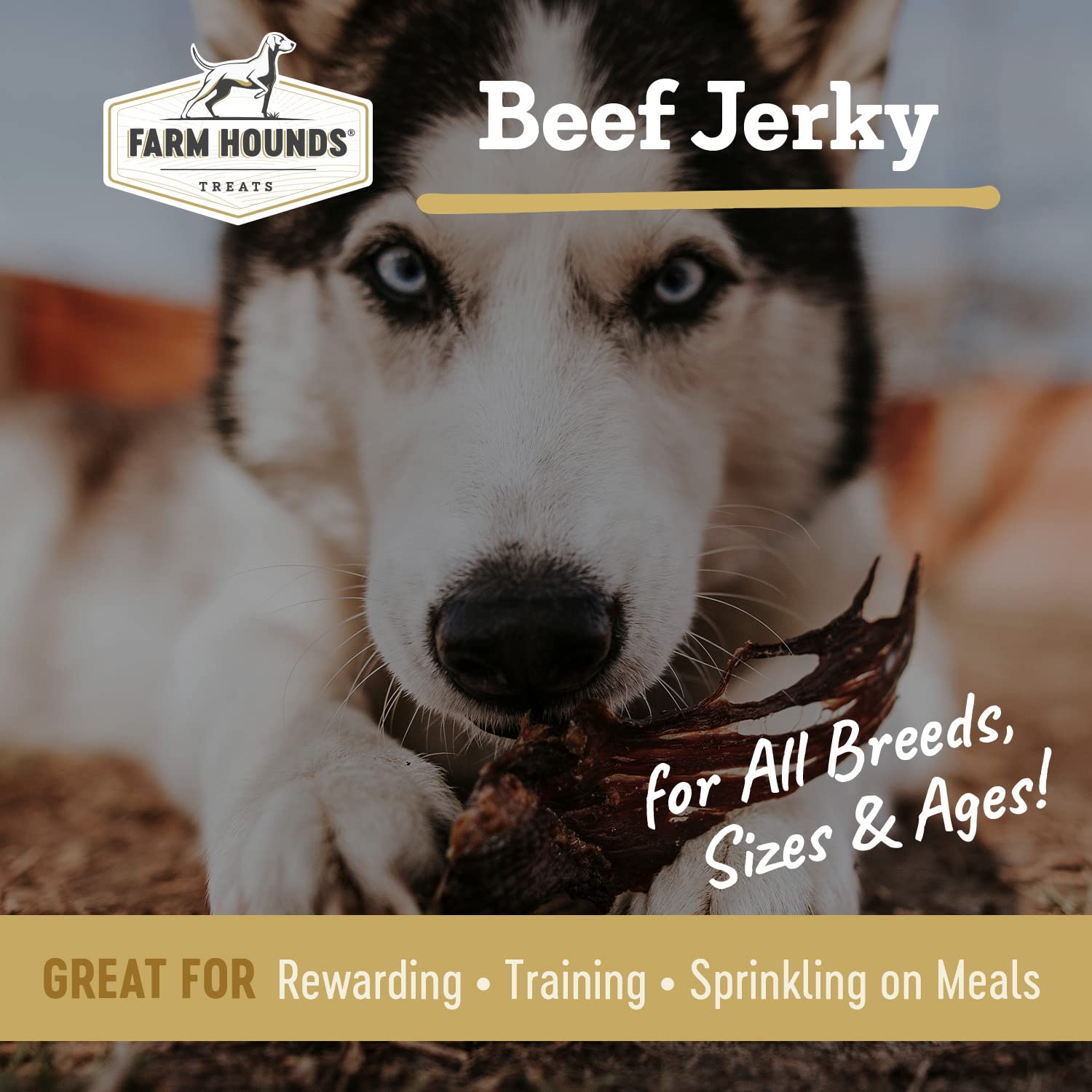 Farm Hounds - Beef Jerky - Premium Natural Jerky for Dogs - Made from 100% Humanely Raised Cattle - Break-to-Size - Great for Tr