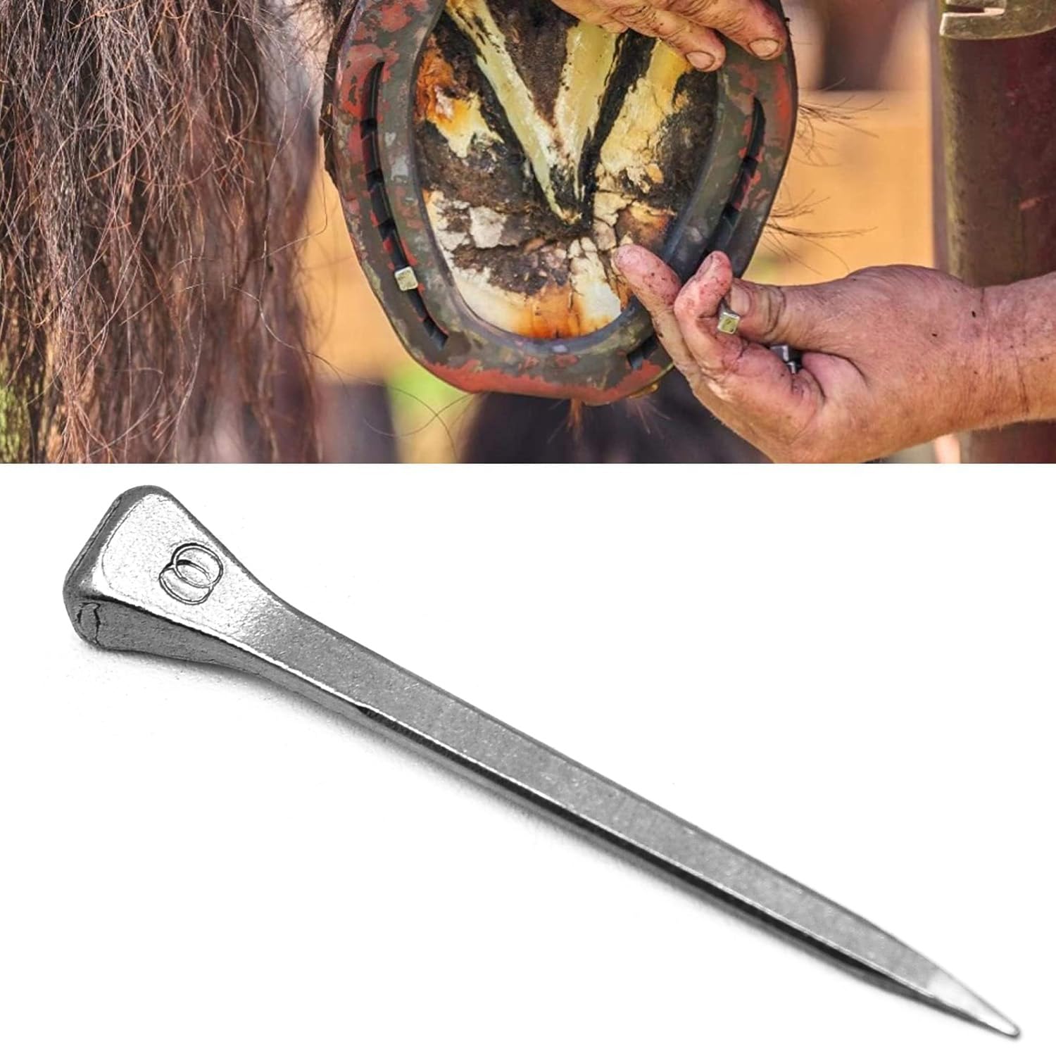 Surf Turtle E3 Horseshoe Nails 50 Pcs 1.7 Inches Low Carbon Steel Horse Hoof Nails Horse Training Supplies Tool For Securing Fir