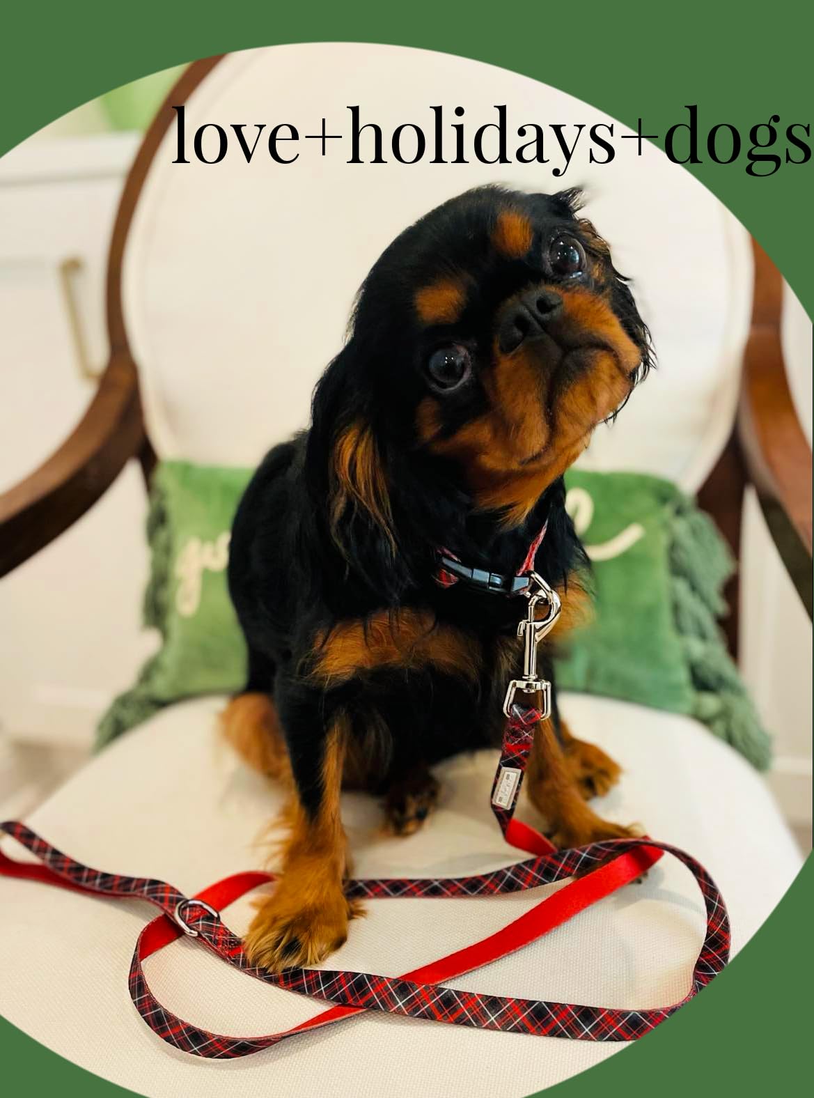 Lucky Love Dog - Adjustable Dog Collar With Easy Click Buckle For Small To Large Ones, Durable, & Comfortable For Male & Female