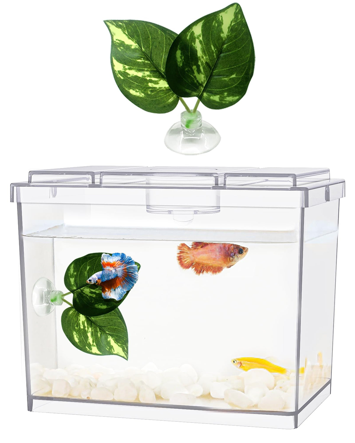 Moonorange Mini Betta Fish Tank, Small Fish Bowl For Temporary Space, 0.2 Gallon Stackable Cube Tank With Betta Leaf And Gravels