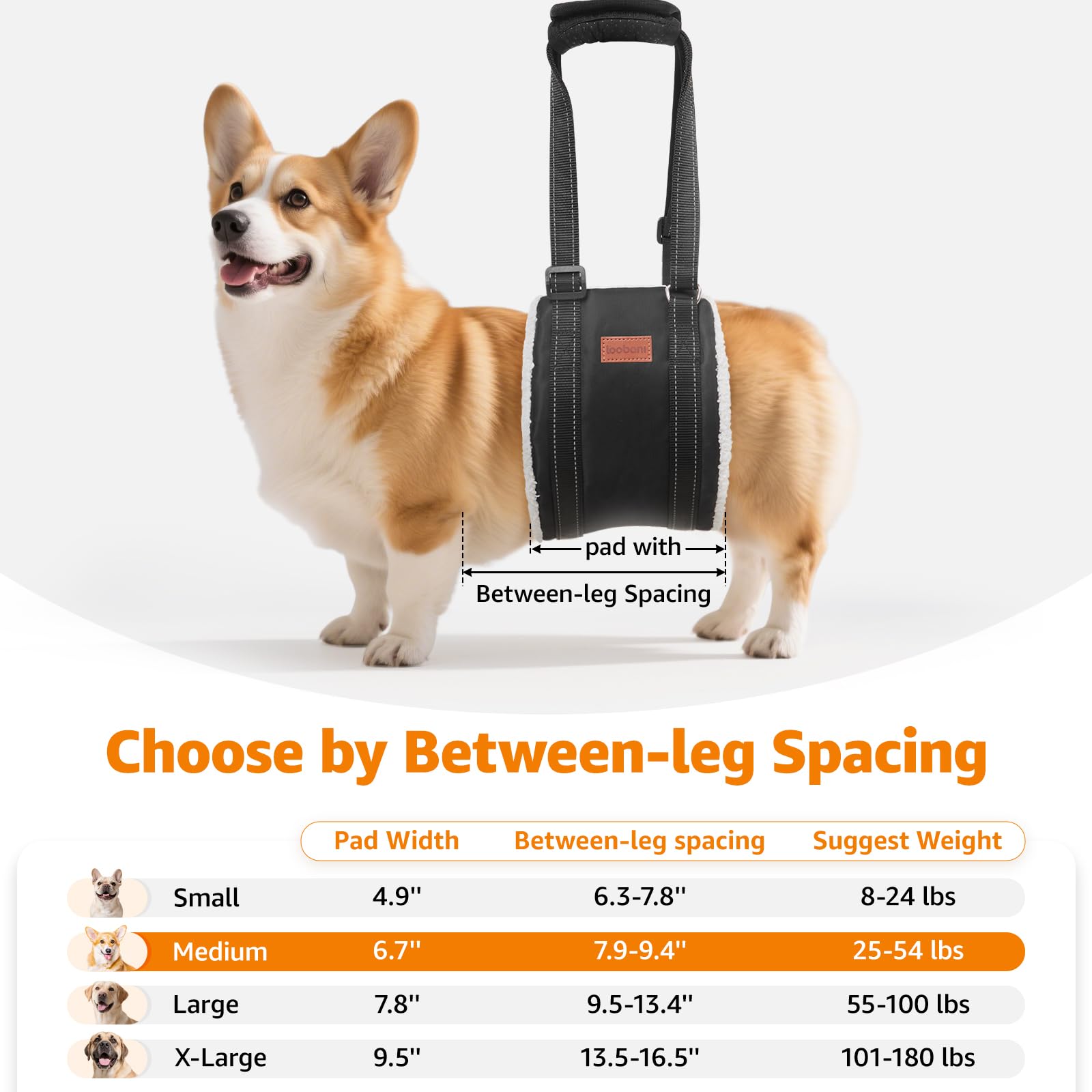 LOOBANI Portable Dog Sling for Back Legs, Hip Support Harness to Help Lift Dogs Rear for Canine Aid and Old K9 Cruciate Ligament