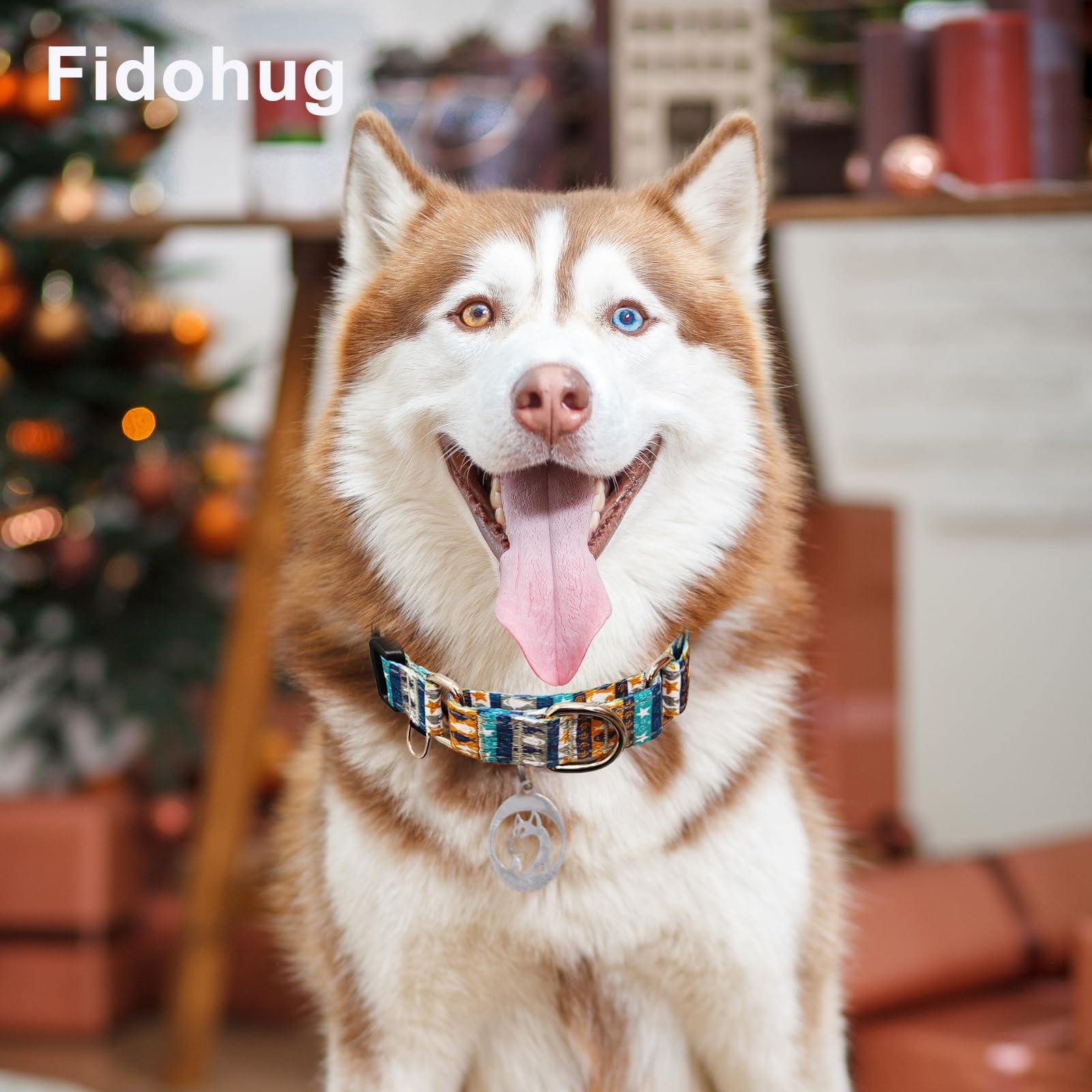Fidohug Reflective Martingale Collar With Buckle Shark Starfish Ethnic Stripe Adjustable Designer Dog Collars (Underwater World,