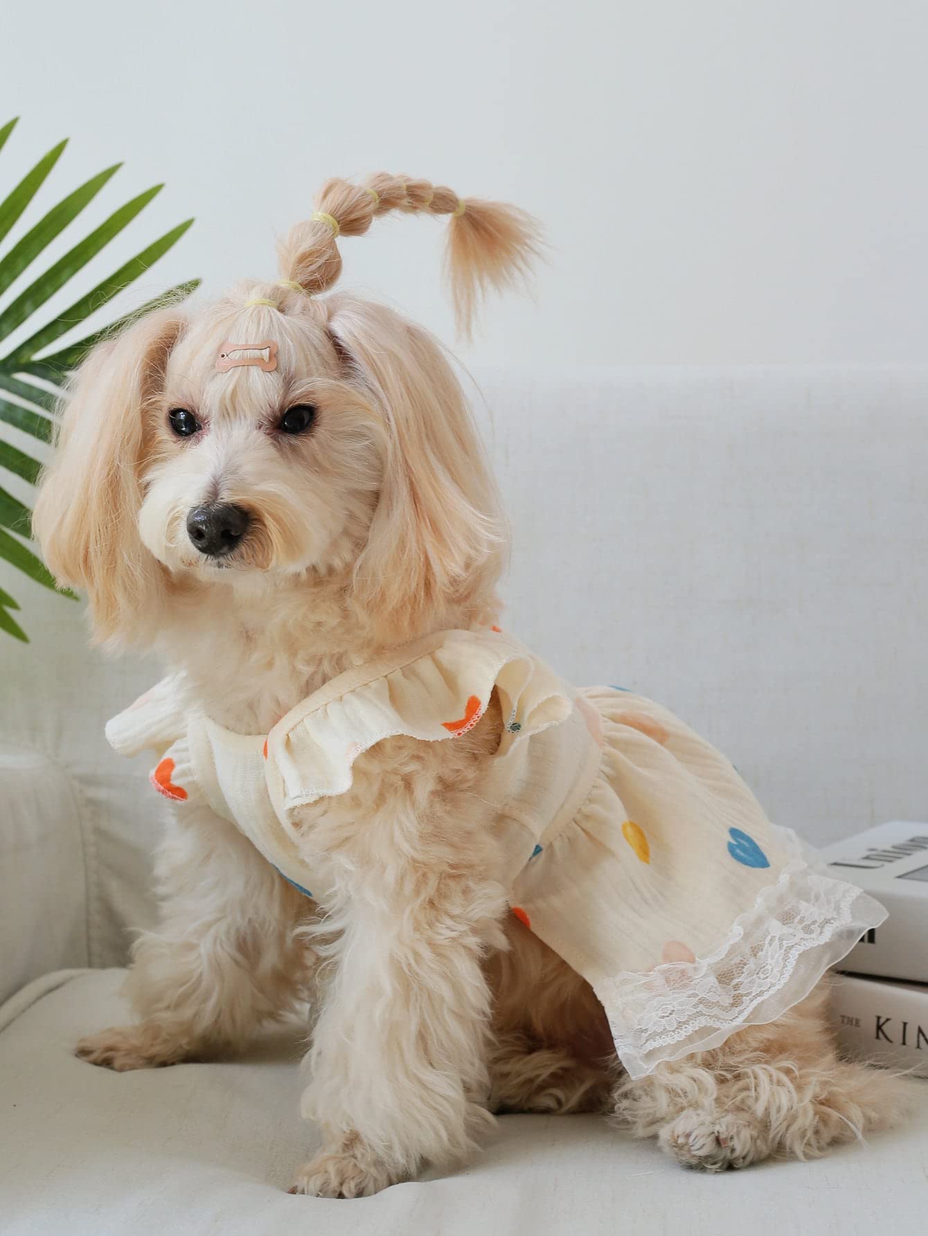 Qwinee 2Pc Cute Dog Dress Ruffle Trim Princess Dress Cat Vest Dress Lace Trim Summer Dress Pet Clothes For Small Medium Cats Dog