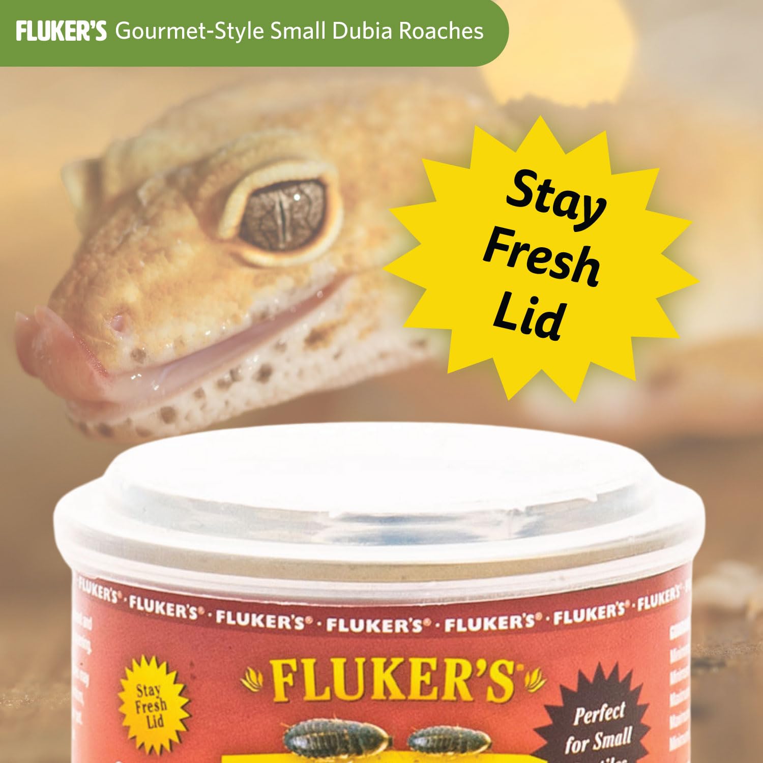 Flukers Gourmet Canned Food for Reptiles, Fish, Birds and Small Animals, Dubia Roaches, 1.2 oz