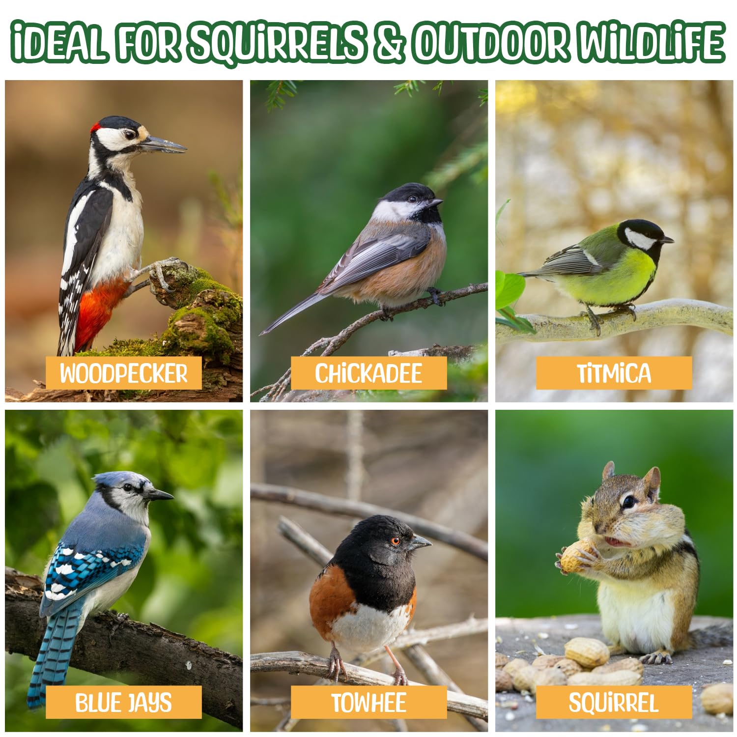 Sneaky Mango Premium Quality Raw Peanuts in Shell - 8 Pounds - All-Natural Food for Squirrels, Deer, Birds, and Other Wildlife A