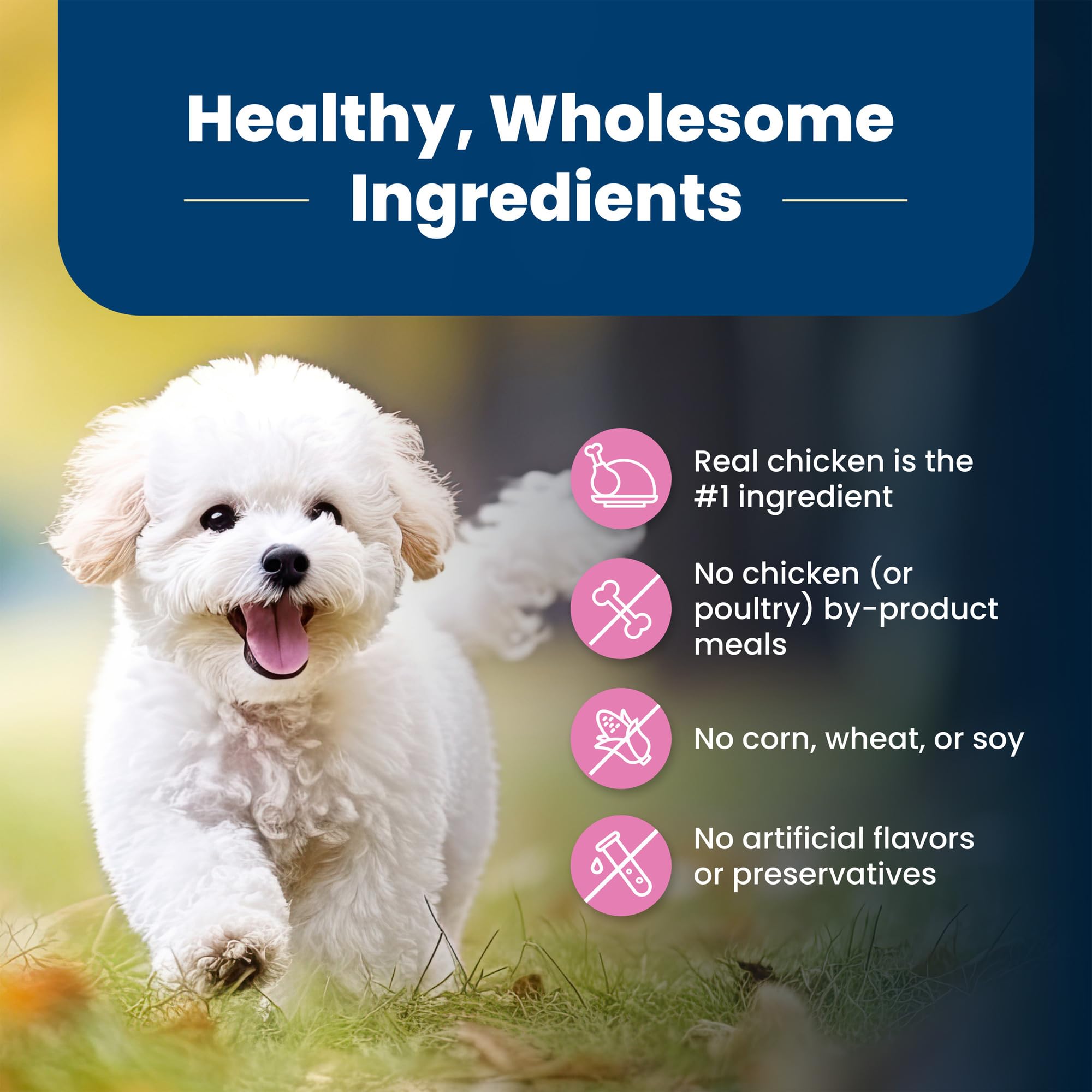 Blue Buffalo Life Protection Formula Adult Small Breed Dry Dog Food, Supports High Energy Needs, Made with Natural Ingredients,
