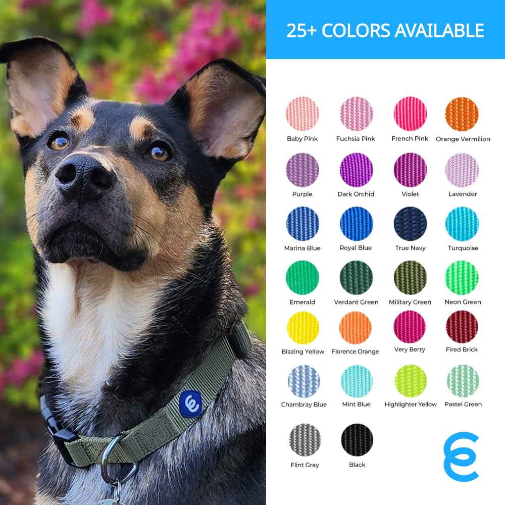 Blueberry Pet Essentials Small Dog Collar | Boy Dog Collars Fall | Male Dog Collar Small | Royal Blue Dog Collars For Small Dogs | Quick Release Dog Collar | Royal Blue Nylon Dog Collar