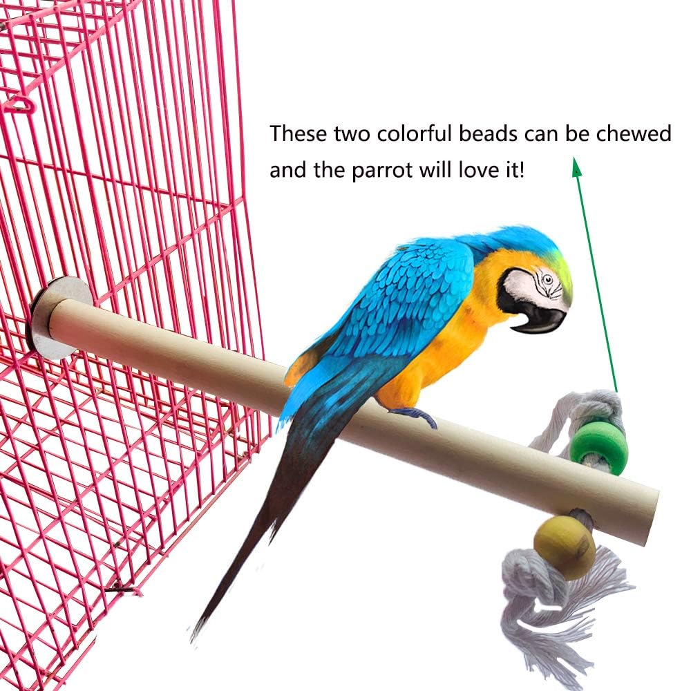 Pinvnby Bird Playground, Wood Parrot Parrot Play Gym Bird Play Stand Perch Bird Cage Accessories For Small And Medium Bird Parrot Parakeet Cockatiel Conure Love Birds Finch