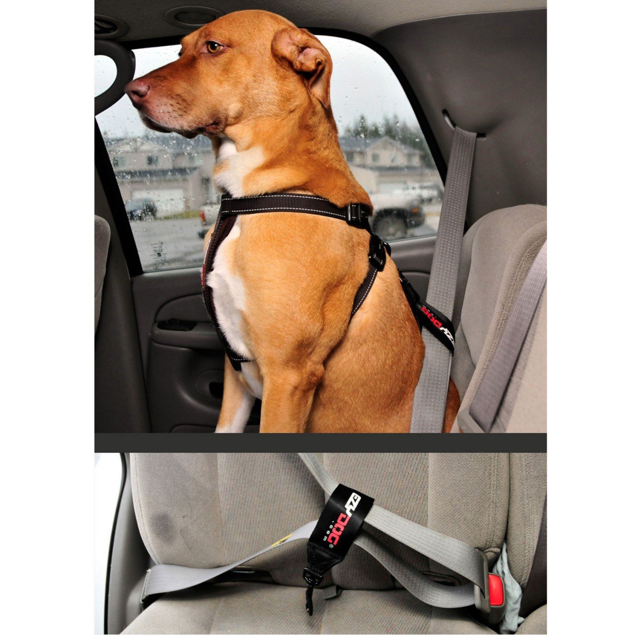 Ezydog Universal Dog Car Restraint - Dog Seat Belt Safety Lead - Abrasion-Resistant Vehicle Seatbelt Harness Attachment With Superior Strength And Nylon Webbing - Easy-To-Use Click It And Go Design