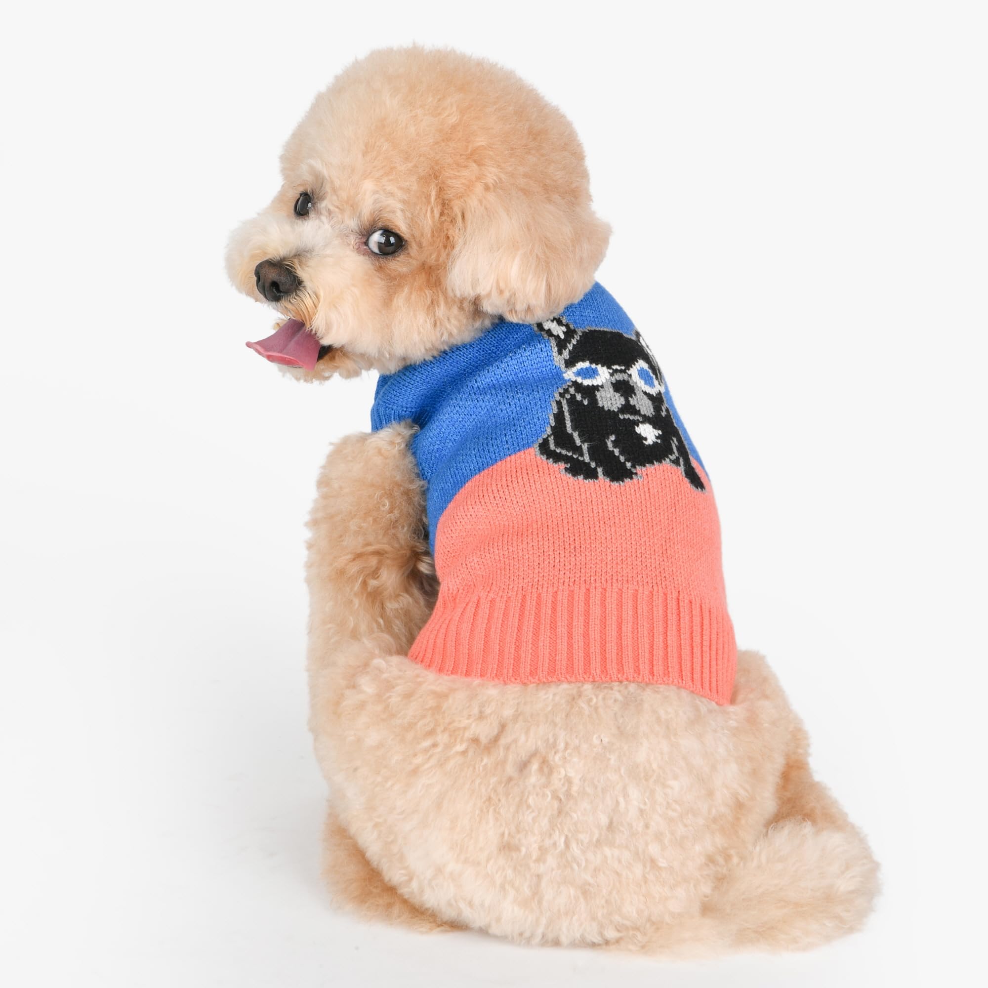 Puppia Bruno Dog Knit Sweater Winter Season For Small And Medium Dogs, Blue, X-Large