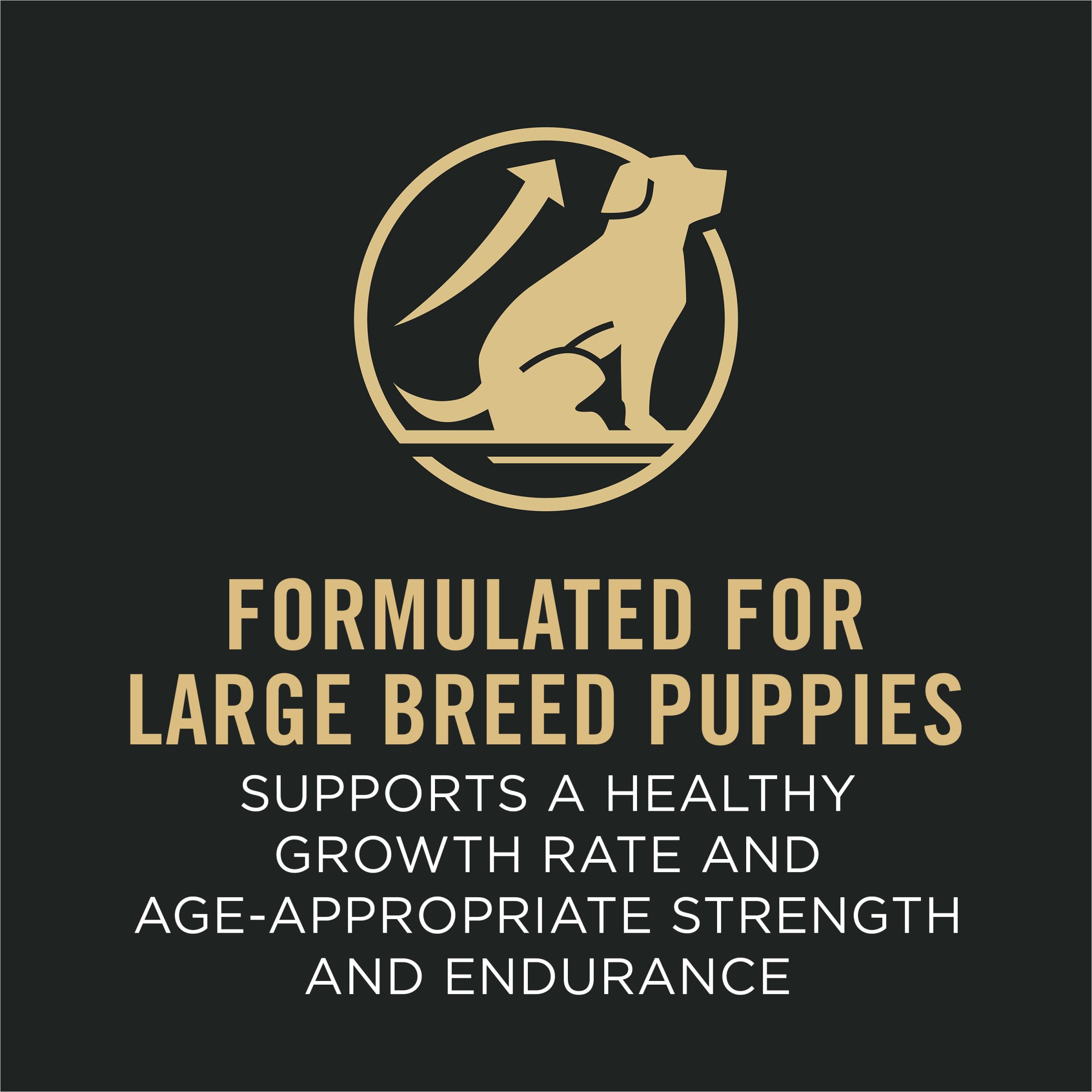 Purina Pro Plan Sport Development Large Breed 30/18 Chicken and Rice High Protein Dog Food Puppy Formula - 35 lb. Bag