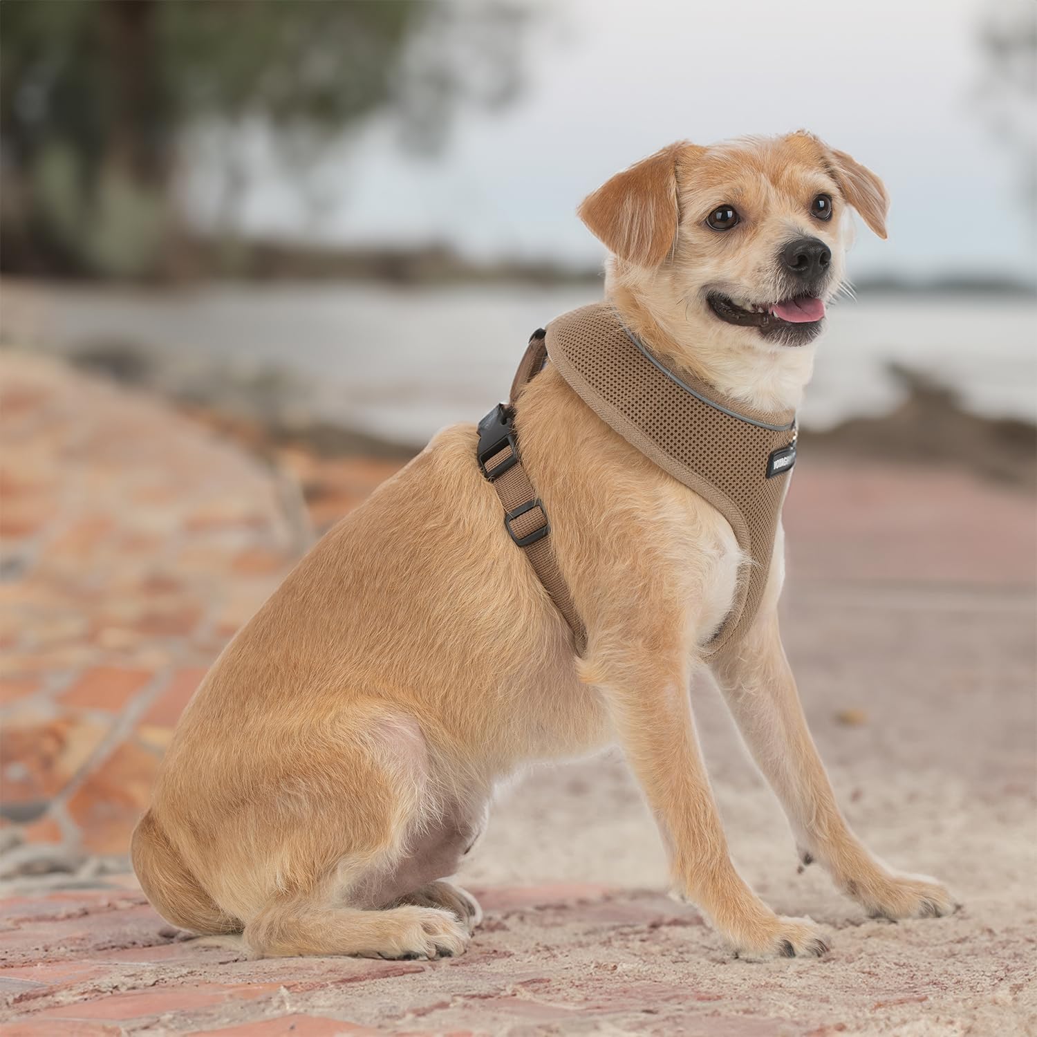 Voyager Aerolite No Pull Mesh Dog Harness With Lightweight, Soft, Breathable, Reflective Stitching, And Adjustable Straps For Walking, Running, Training, Heavy Duty And Durable - Beige, Xl