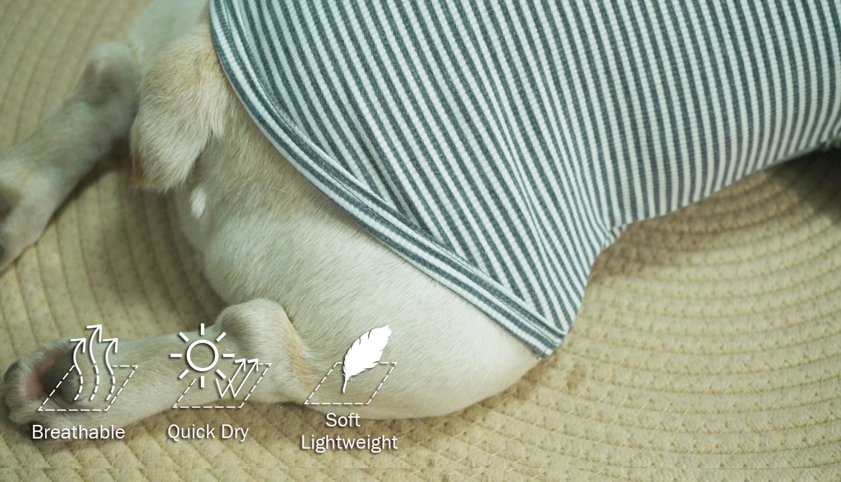 Sychien Dog Shirt,Combed Cotton T-Shirts,Soft Cool Boy Girl Tee For Small Dogs Kitty Puppy Chihuahua,Grey Striped Xs