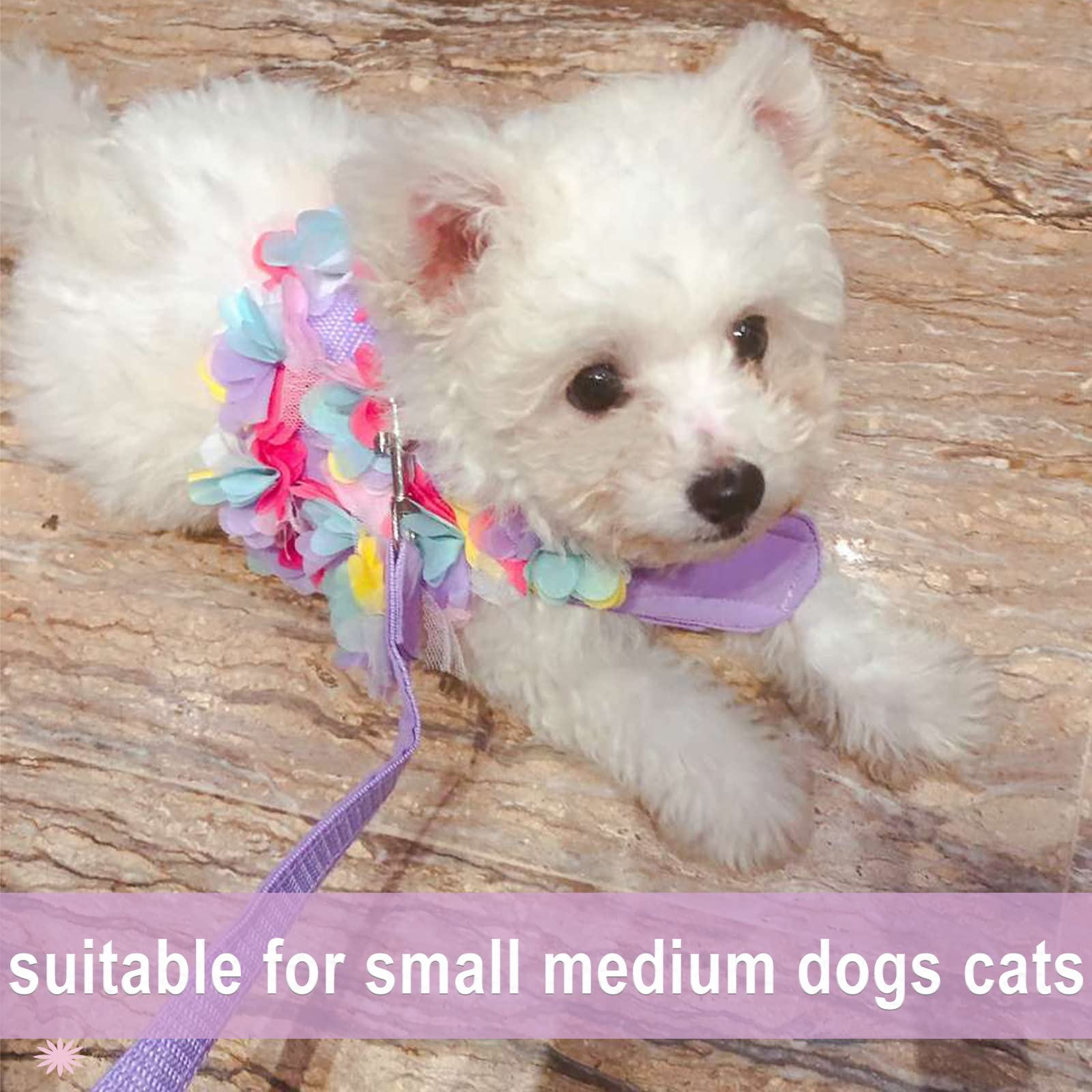Tengzhi Puppy Dog Harness And Leash Set Purple Lace Floral Dog Vest Harness For Small Dogs Cute Soft Mesh Escape Proof Pet Cat Vest Harness