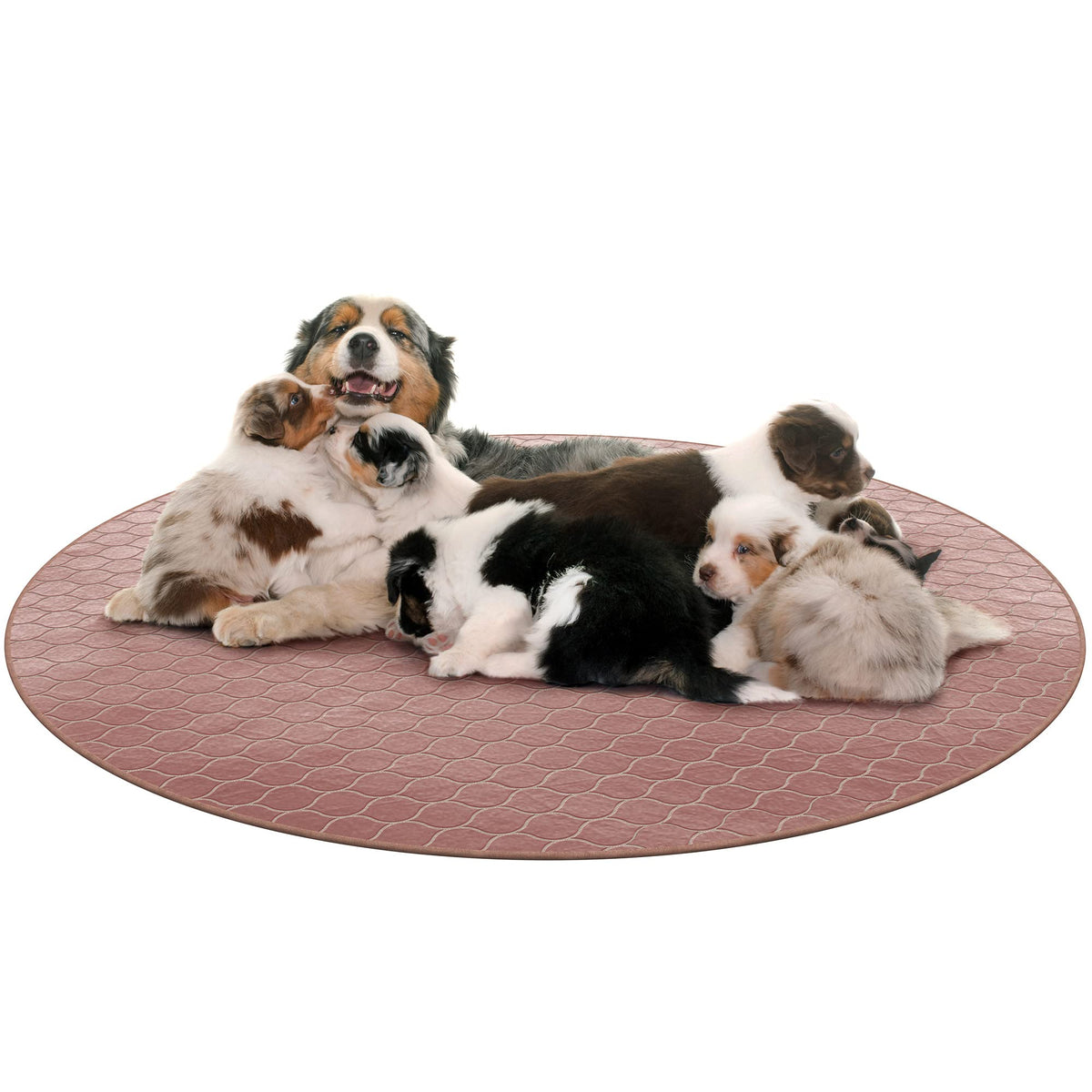 Puppy Pee Pads For Dogs, Puppies Whelping Pad, Reusable, Washable, Large, Brown, Round, 1Pk, 48'' X 48'', Non Slip, Waterproof M