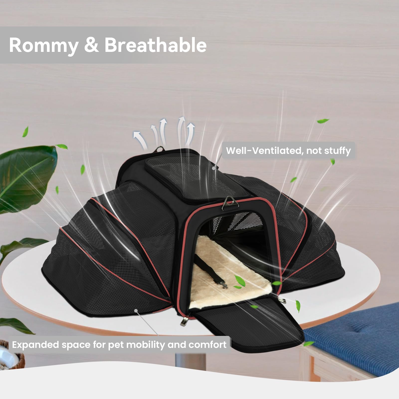 Petsfit Expandable Cat Carrier Large For 2 Cats, Soft-Sided Pet Carrier, 19X12X12 Inches, 2 Extensions For Adding Comfort, Fit F