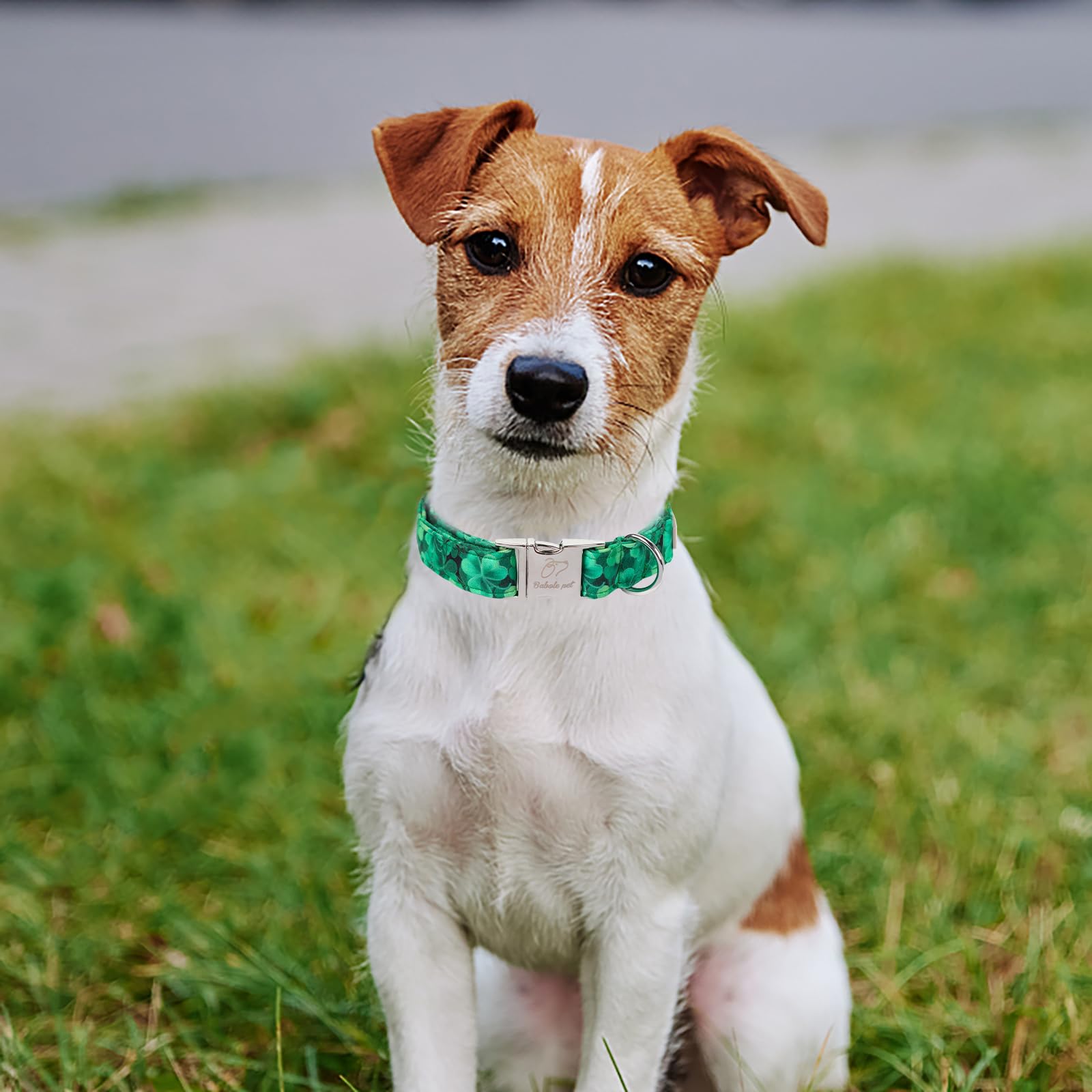 Babole Pet St Patricks Day Dog Collar, Green Shamrock Pet Collar With Metal Buckel, Durable Adjustable Holiday Dog Collars For S