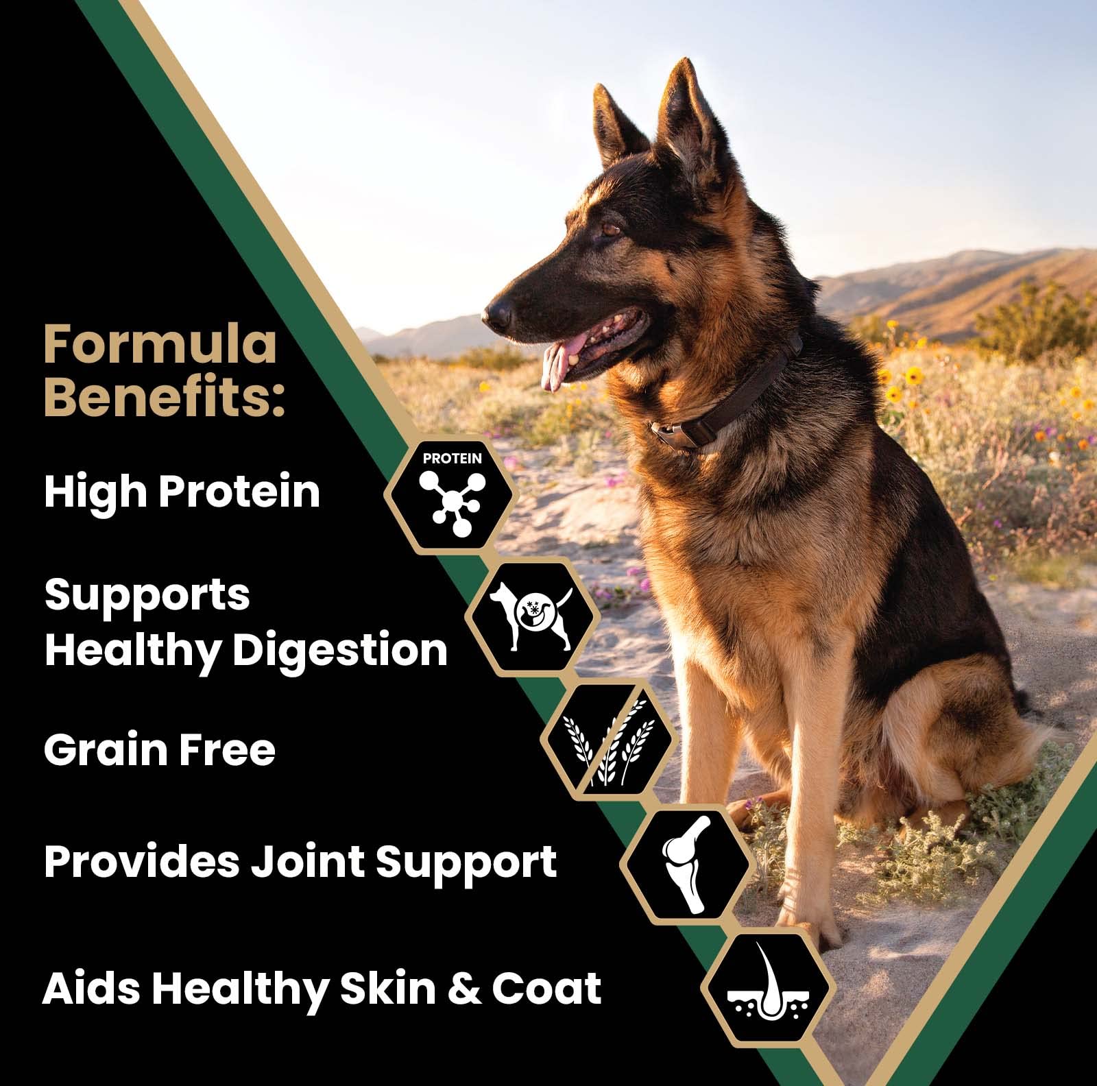 VICTOR Super Premium Dog Food - Purpose - Grain Free Hero Canine - Premium Gluten Free Dog Food for Active Adult Dogs - High Pro