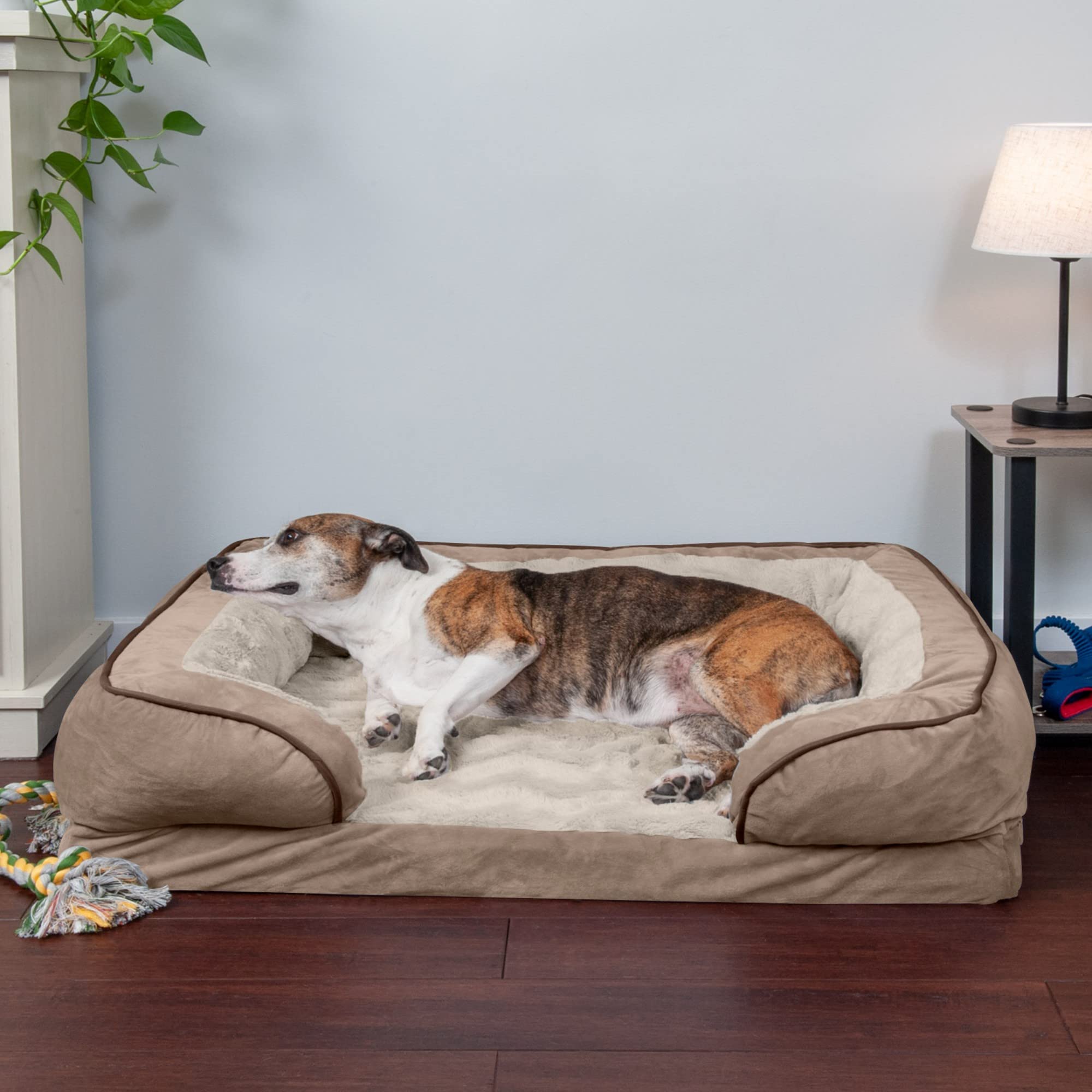 Furhaven Orthopedic Dog Bed for Large/Medium Dogs w/ Removable Bolsters & Washable Cover, For Dogs Up to 55 lbs - Plush & Velvet