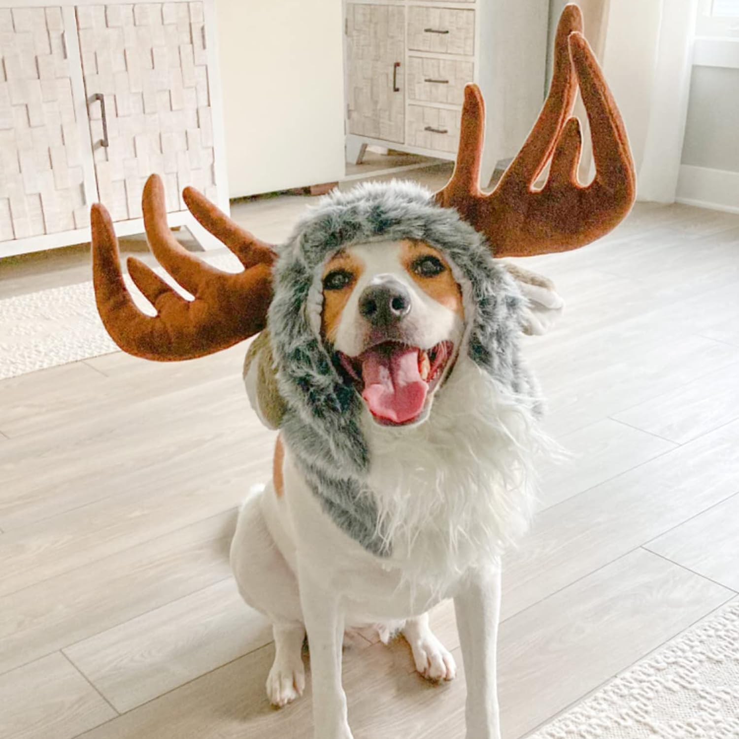 Onmygogo Funny Moose Costumes For Dog, Cute Furry Pet Wig For Halloween Christmas, Pet Clothing Accessories (Moose, Size L)