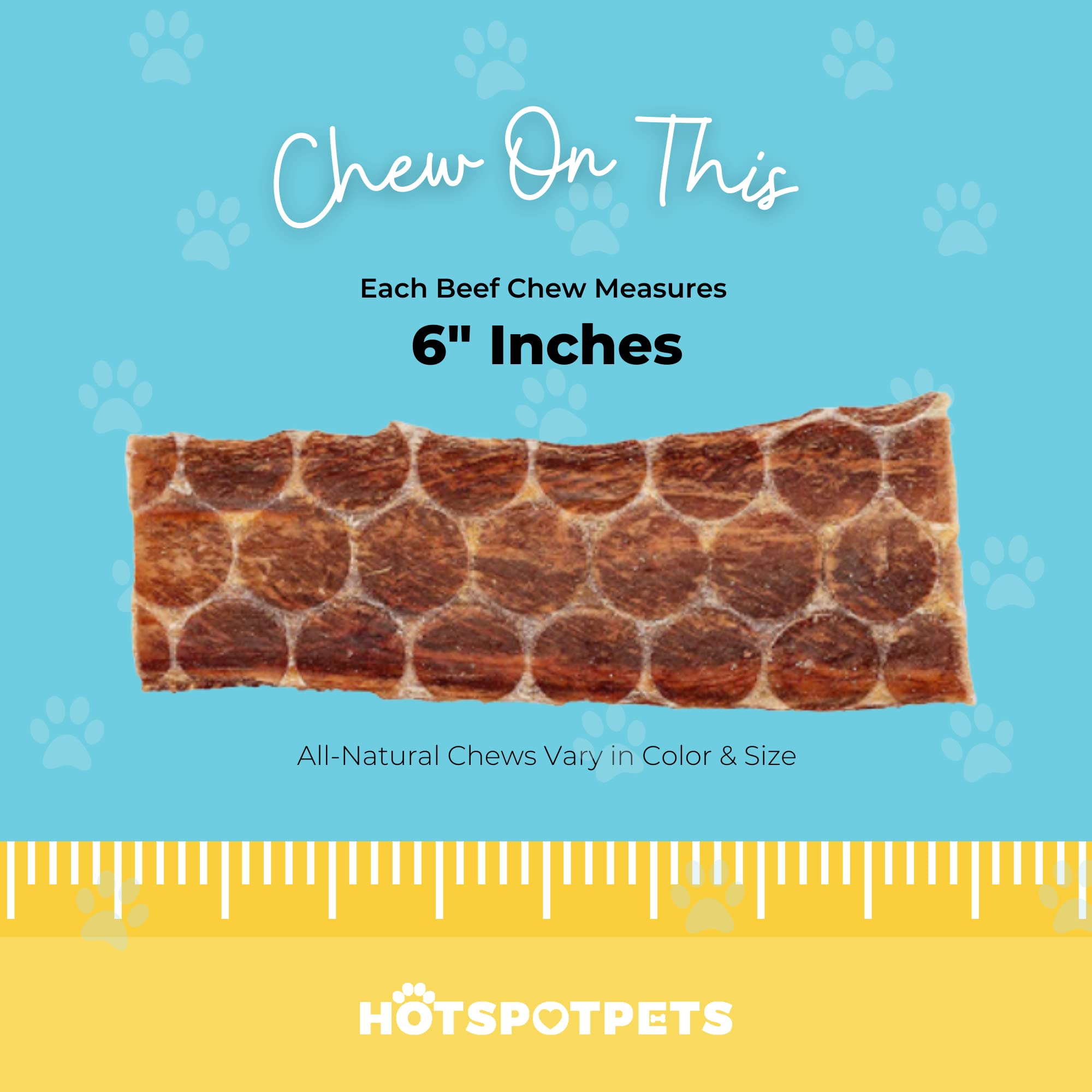 hotspot pets Beef Esophagus Dog Treats (6 INCHES) (1LB Bag) Grass Fed with No Added Hormone All Natural Jerky Dog Treats - Chews