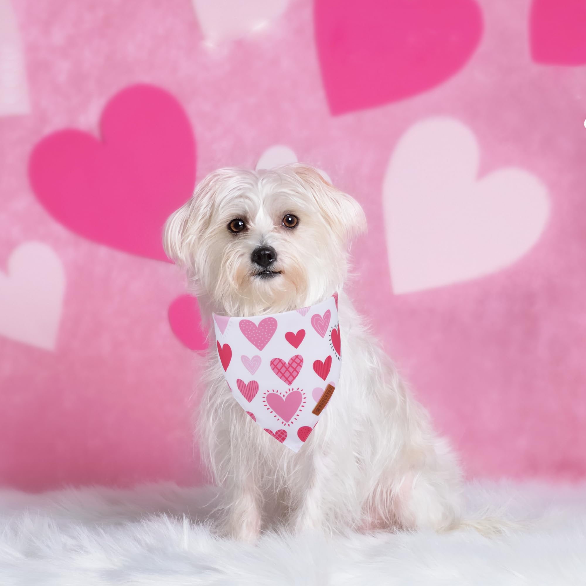 Adoggygo Valentine Dog Bandana, Colorful Heart Pet Scarf, Multi Size Offered, White Blue Valentine Heart Bandanas For Small Dogs
