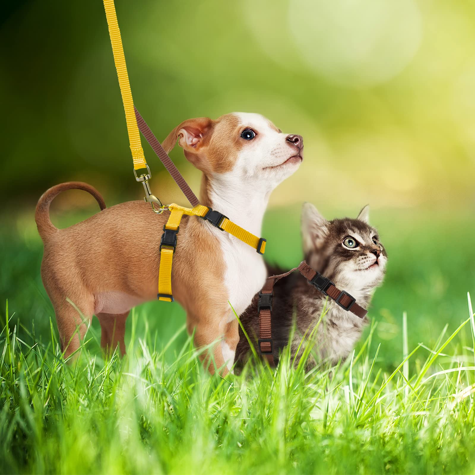 Outus 5 Pieces Adjustable Rabbit Harness And Leash Set Escape Proof Bunny Harness Vest For Pet Running Walk Jogging Bunny Cat Puppy Kitten Ferret And Other Small Pet(Vivid Color)