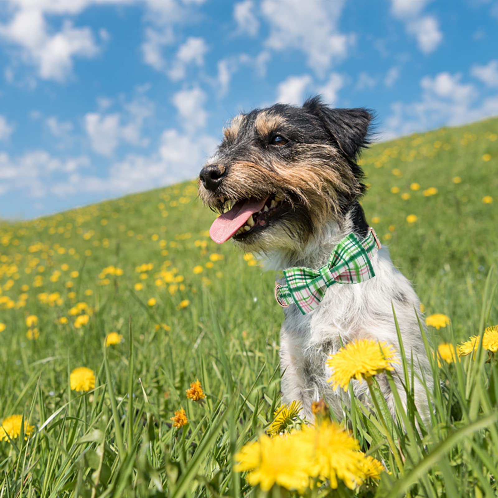 Elegant Little Tail Dog Collar With Bow - Pink With Green Plaid Boy Or Girl Dog Collar Cute Bowtie Pet Collar Adjustable Dog Col