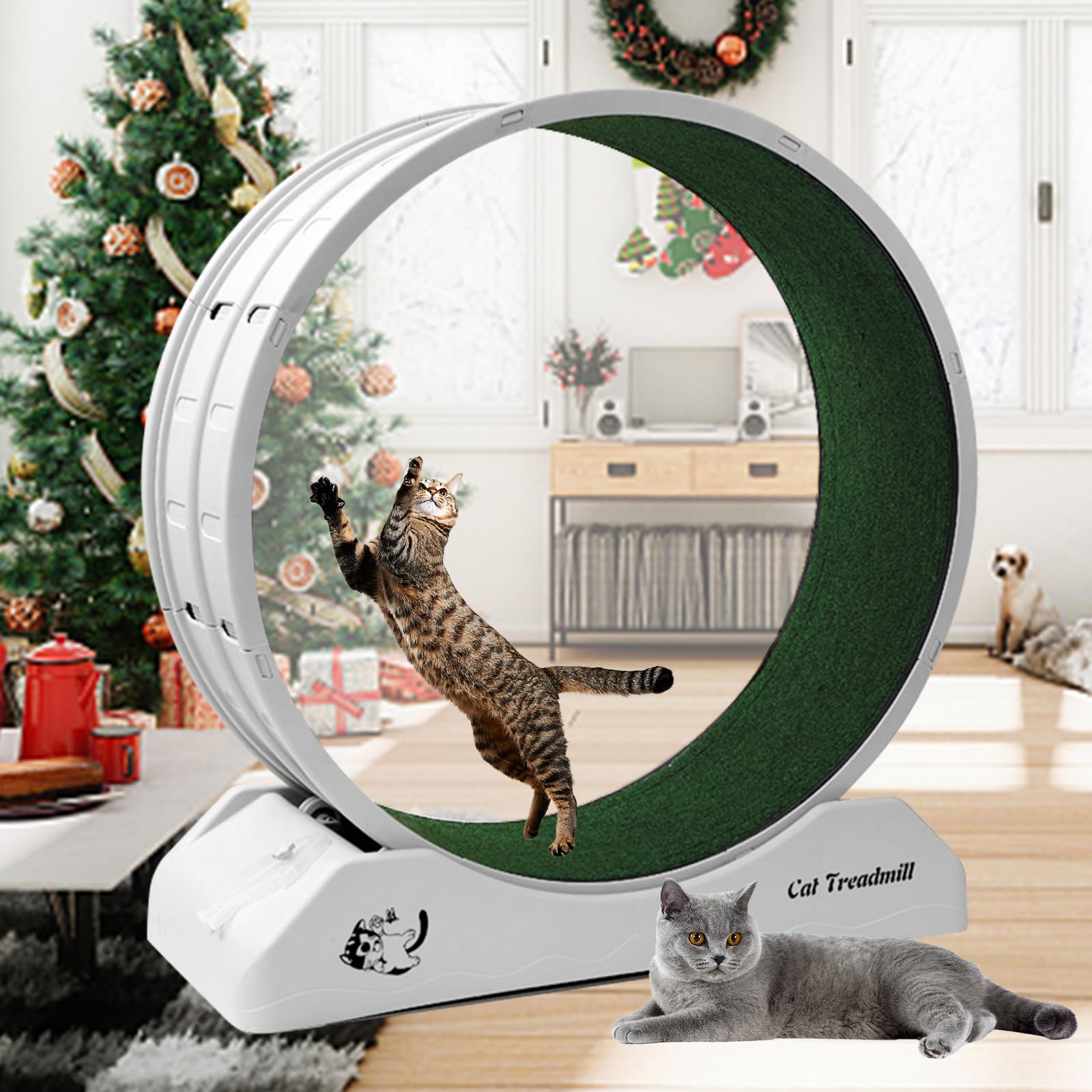 Homegroove Plastic Cat Wheels For Indoor Cats, Cat Exercise Running Treadmill Wheel With Carpeted Runway For Kittys Longer Life,