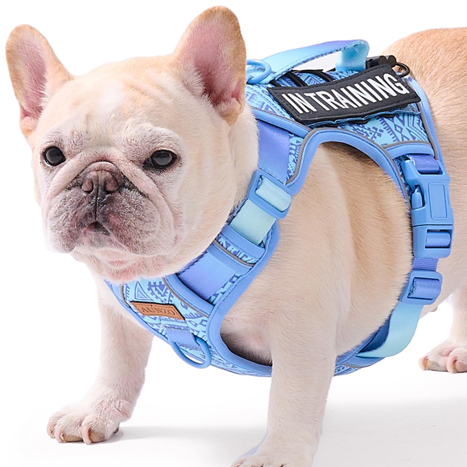 Light Dog Harness For Small Dog Breeds, French Bulldog Puggle Terriers, No-Pull Pet Harness With 2 Leash Clips, Adjustable Soft 