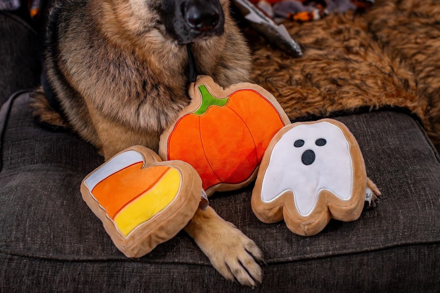 Midlee Boo Sugar Cookie Halloween Plush Dog Toys (Large)