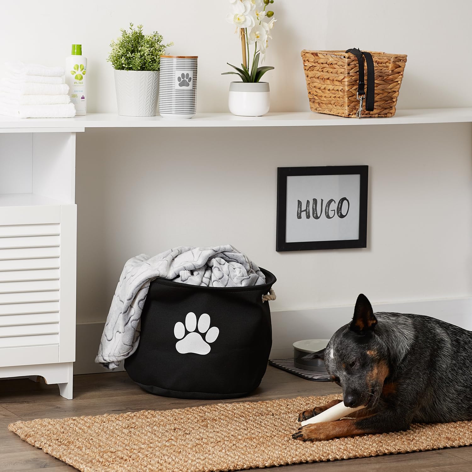 Bone Dry Pet Storage Collection Collapsible Bin, Black, Medium Round