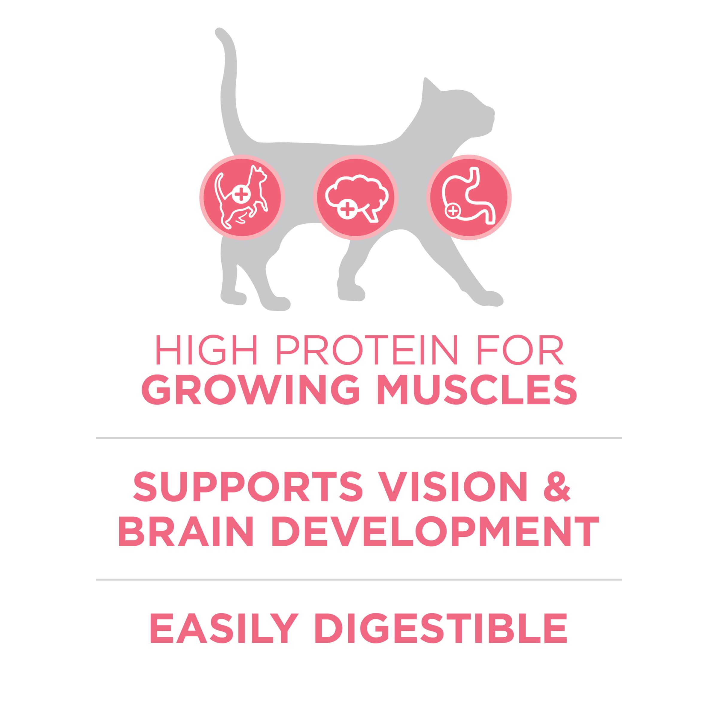 Purina ONE High Protein, Natural Dry Kitten Food, +Plus Healthy Kitten Formula - 3.5 lb. Bag