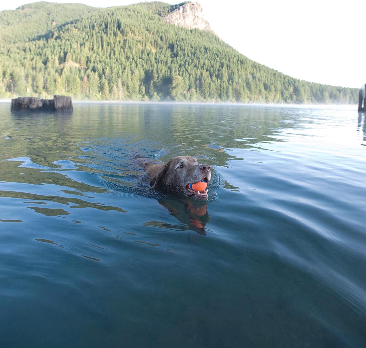 Chuckit! Dog Fetch Toy Ultra Ball Durable Rubber Fits Launcher Large 4 Pack4