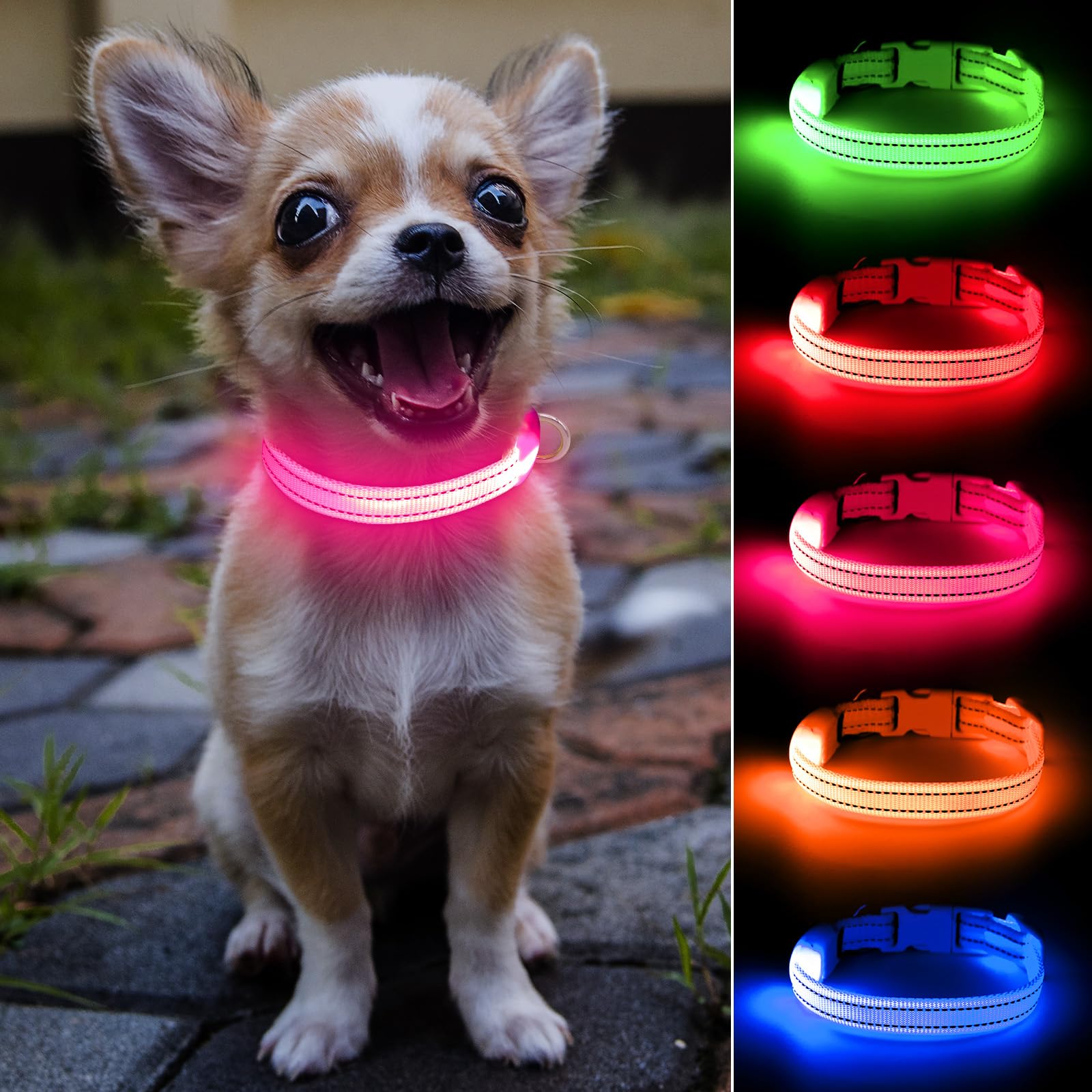 Domiglow Light Up Dog Collar For Small Dogs& Cats, Reflective Led Dog Collar Rechargeable Puppy Safety Lights For Nighttime Walk