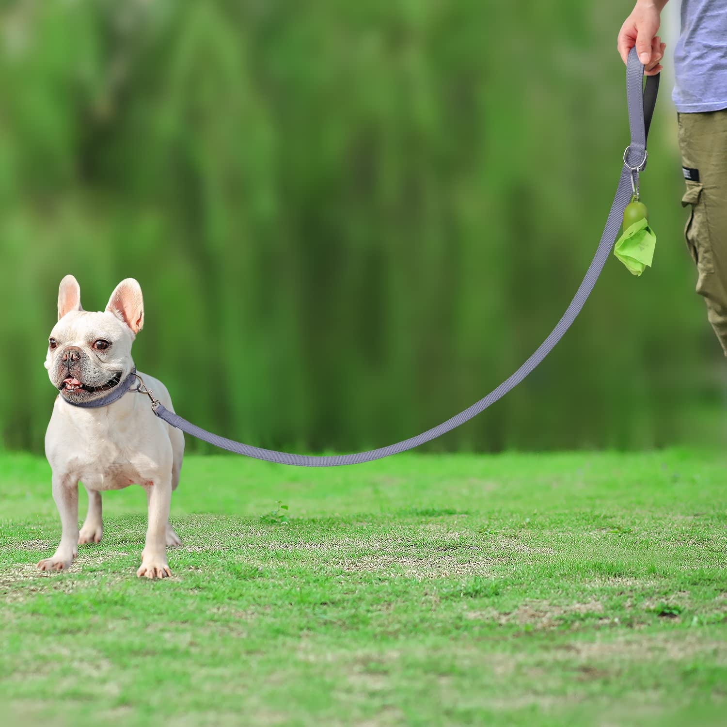 Joytale Double-Sided Reflective Dog Leash, 6 Ft/5 Ft/4 Ft, Padded Handle Nylon Dogs Leashes For Small & Medium Dogs Walking, Gray, 5Ft