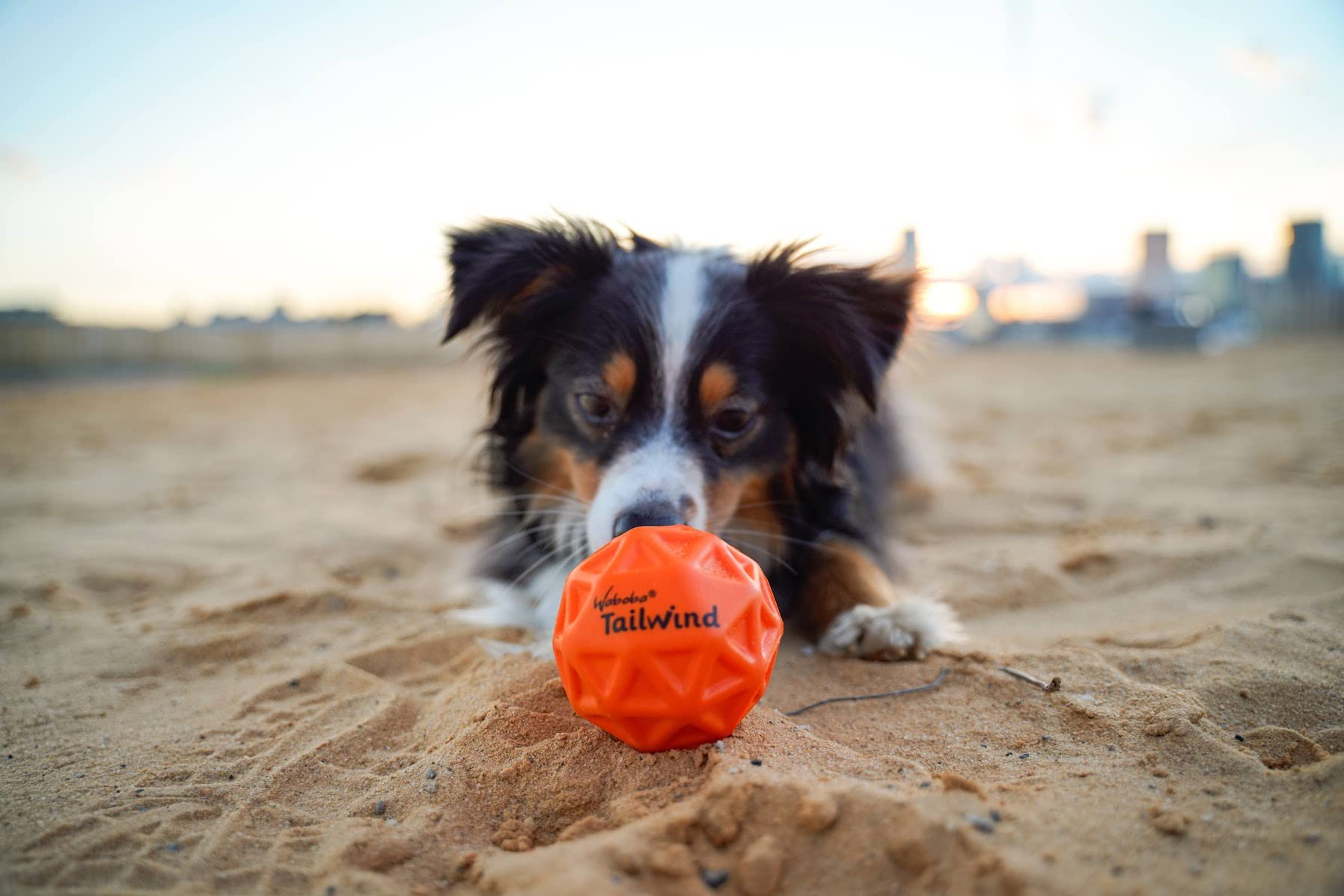 Waboba Tailwind Bouncing Ball