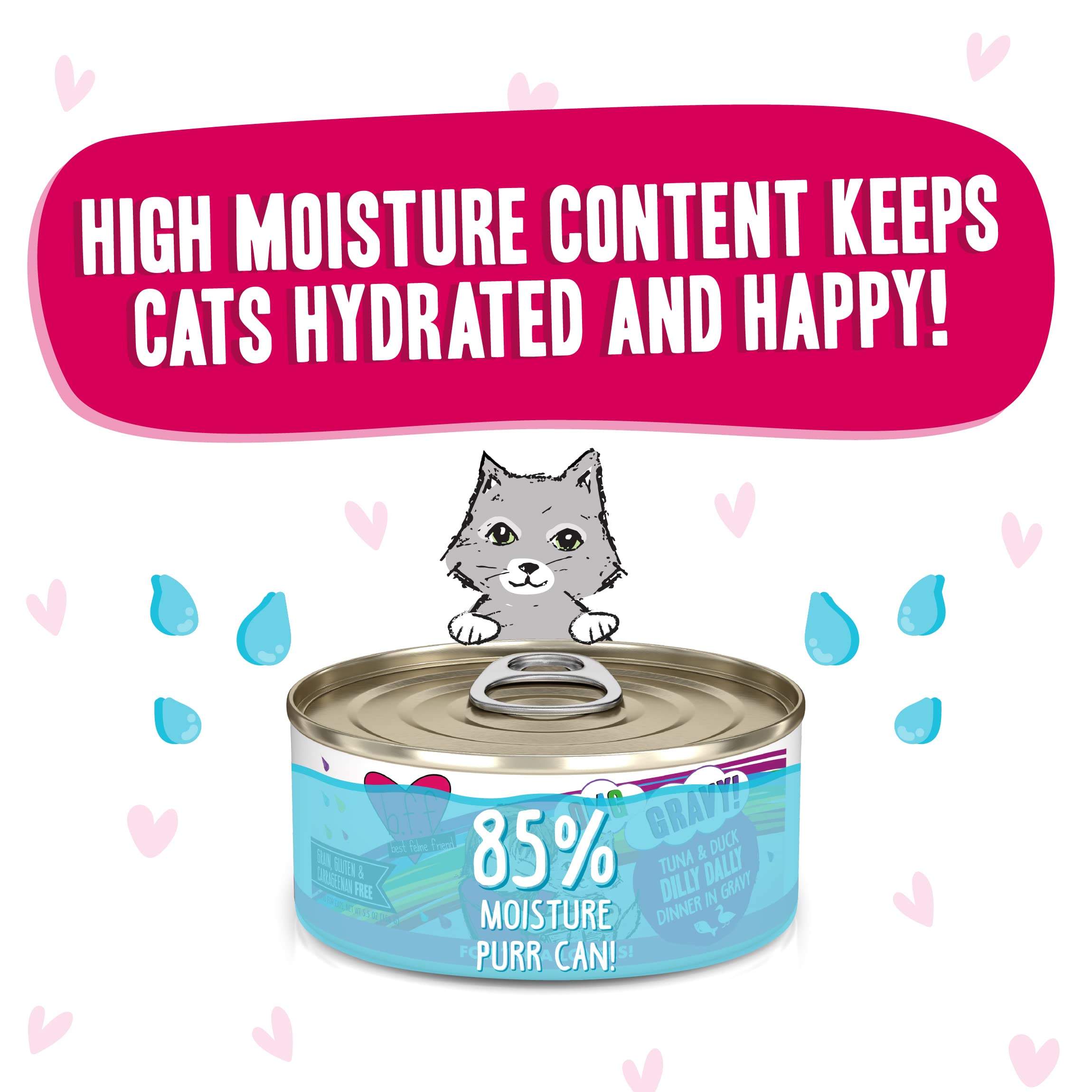 B.F.F. OMG - Best Feline Friend Oh My Gravy!, Tuna & Duck Dilly Dally with Tuna & Duck, 5.5oz Can (Pack of 8)